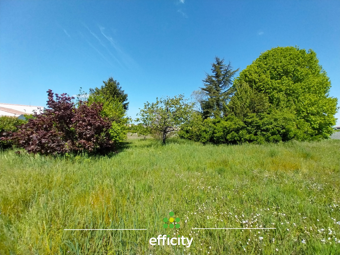 terrain  - 502m2 à Royan (17200)