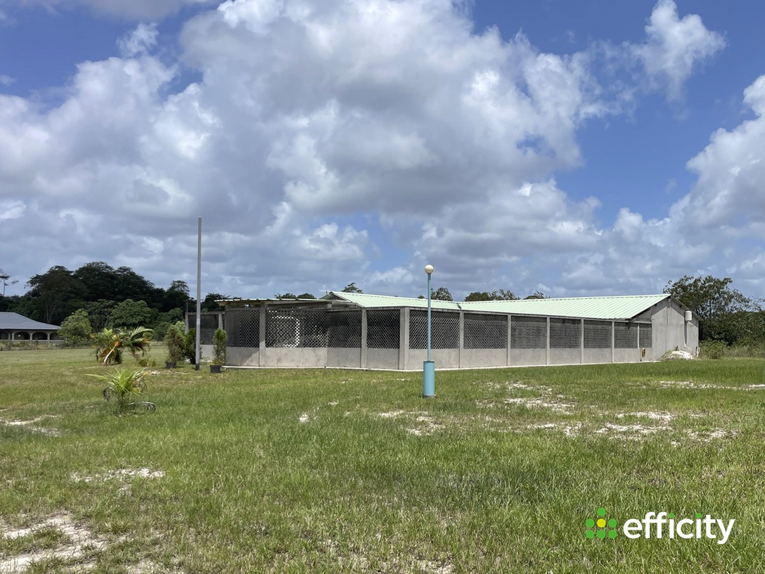 Achat immobilier Maison 5 pièces  250m2 à Kourou (97310) - Photo n°12