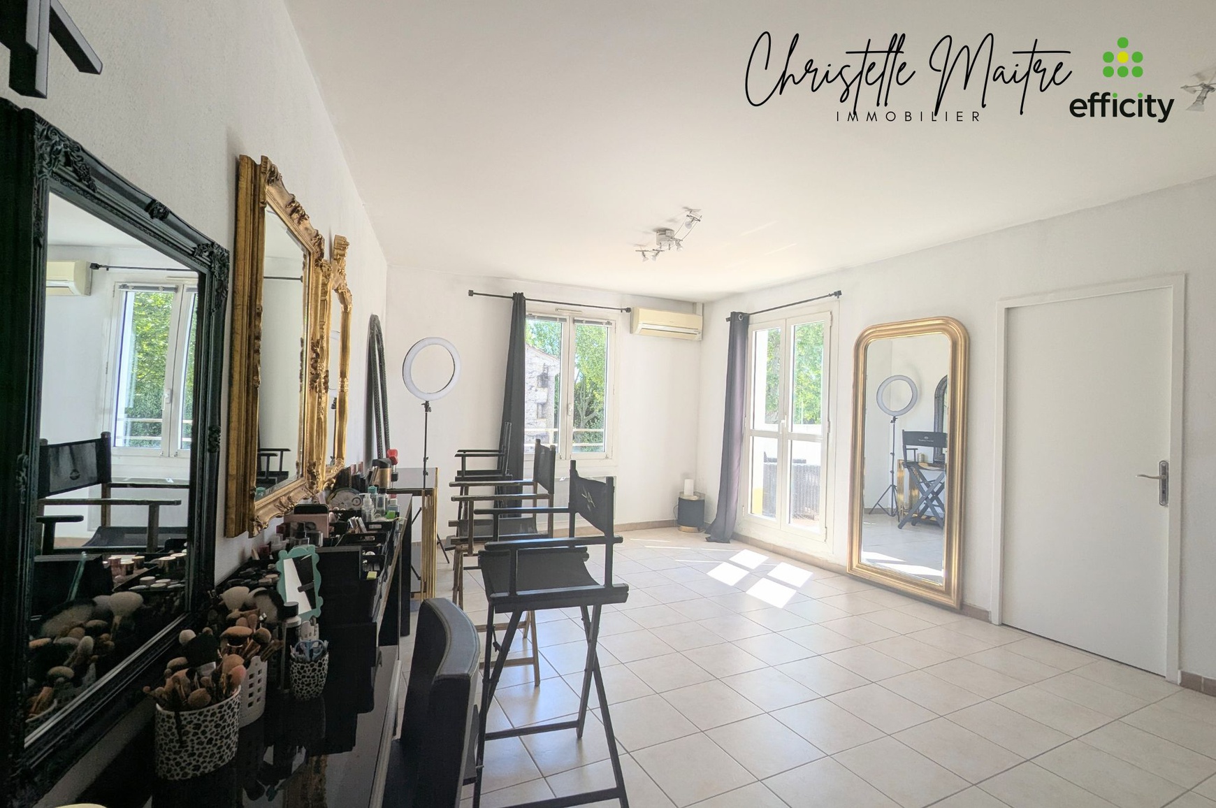 Achat immobilier Local commercial 3 pièces  60m2 à Arles (13200) - Photo n°7