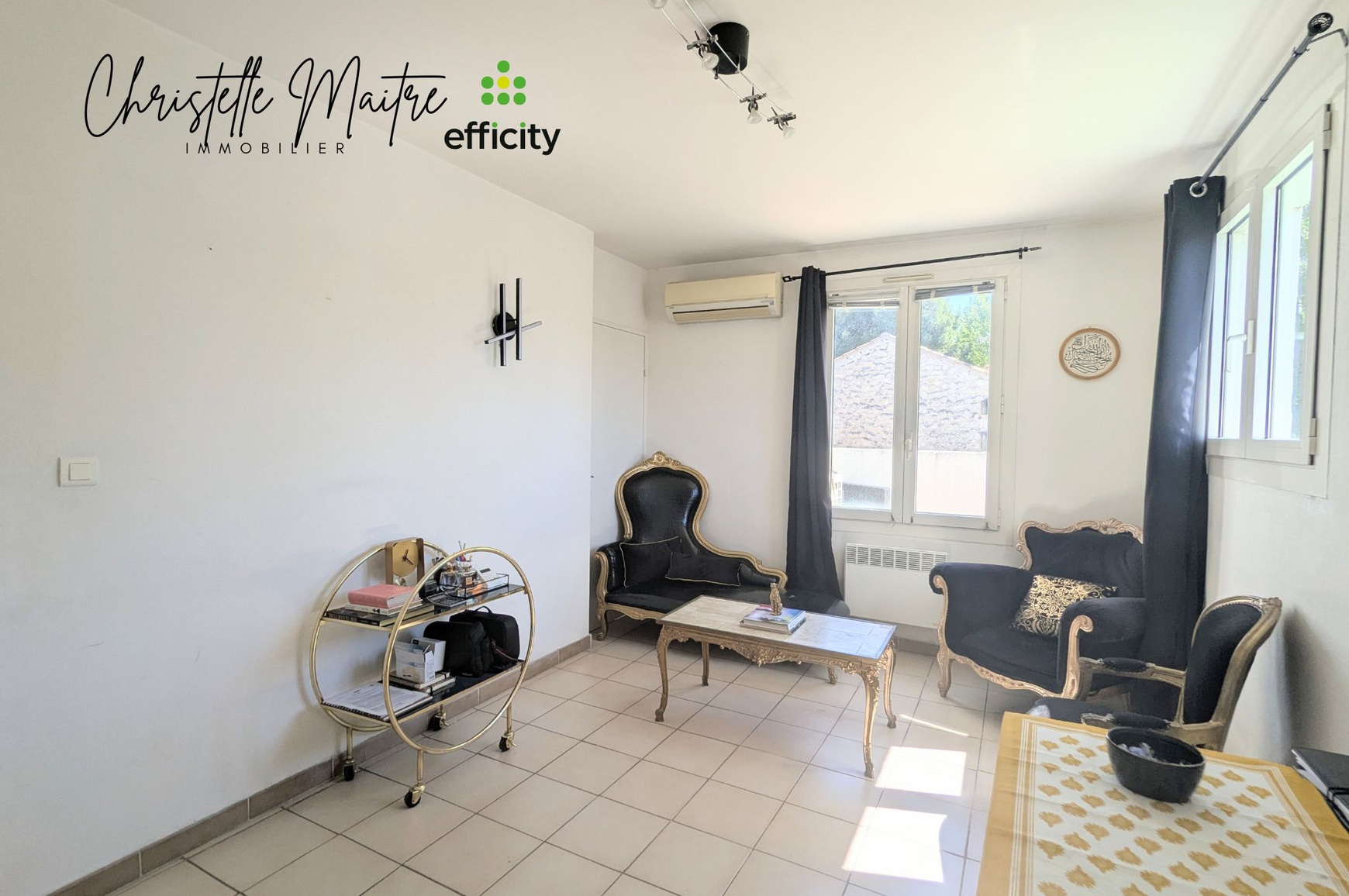 Achat immobilier Local commercial 3 pièces  60m2 à Arles (13200) - Photo n°11