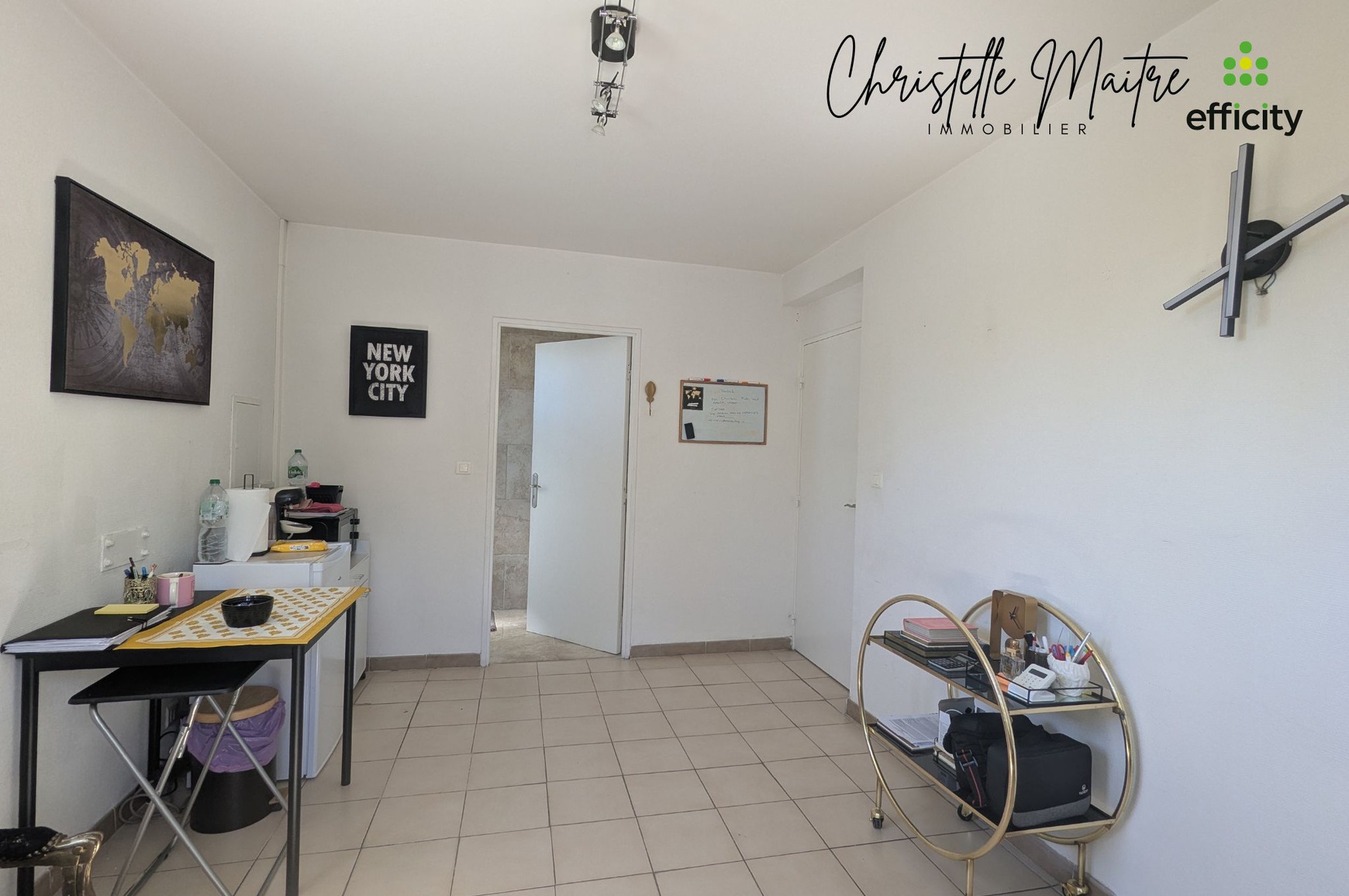 Achat immobilier Local commercial 3 pièces  60m2 à Arles (13200) - Photo n°12