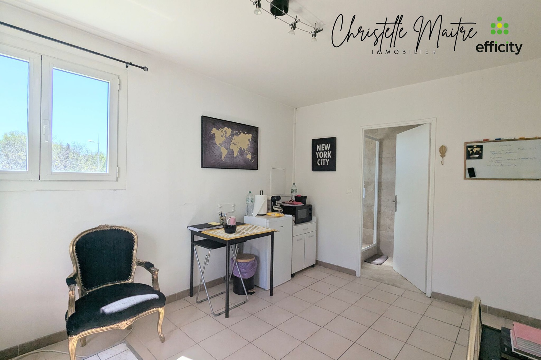 Achat immobilier Local commercial 3 pièces  60m2 à Arles (13200) - Photo n°13