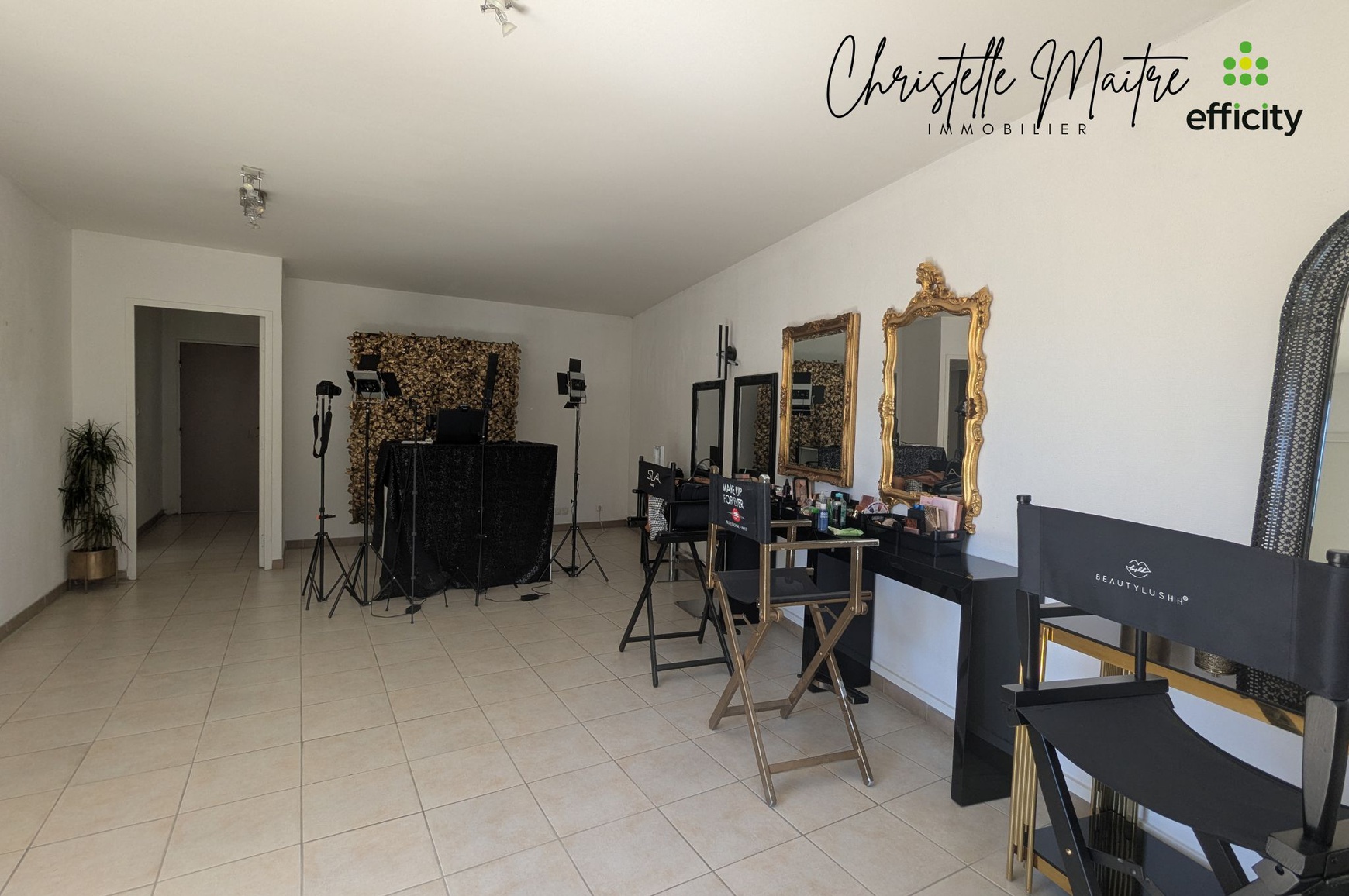 Achat immobilier Local commercial 3 pièces  60m2 à Arles (13200) - Photo n°6