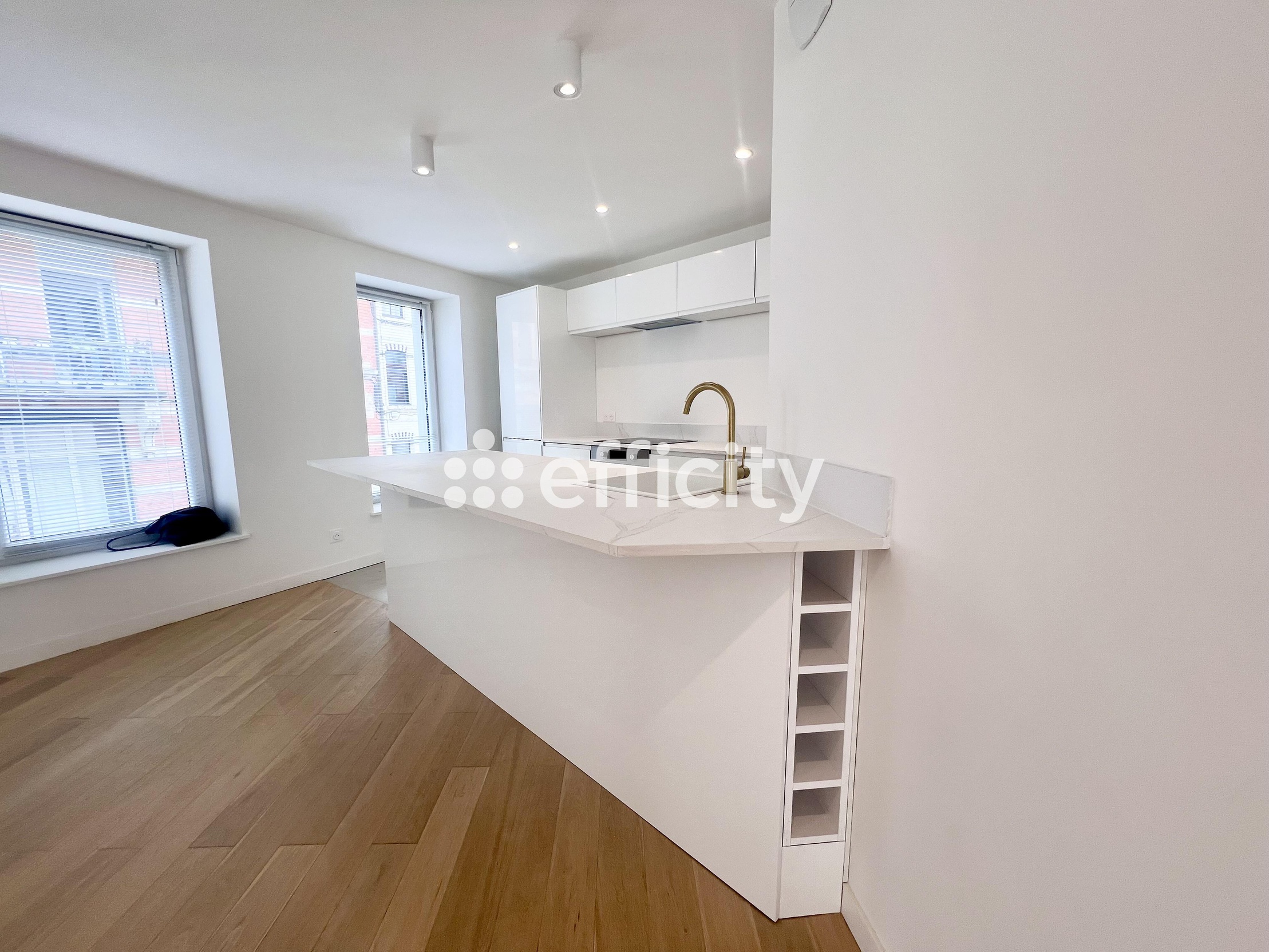 maison 7 pièces - 190m2 à Lille (59000)