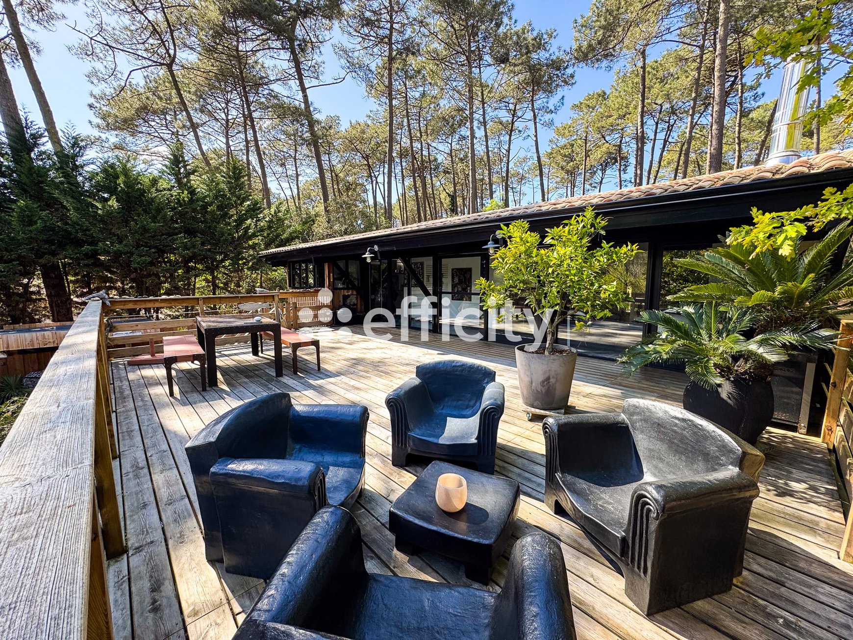 Achat immobilier Maison 5 pièces  155m2 à Lacanau (33680) - Photo n°19