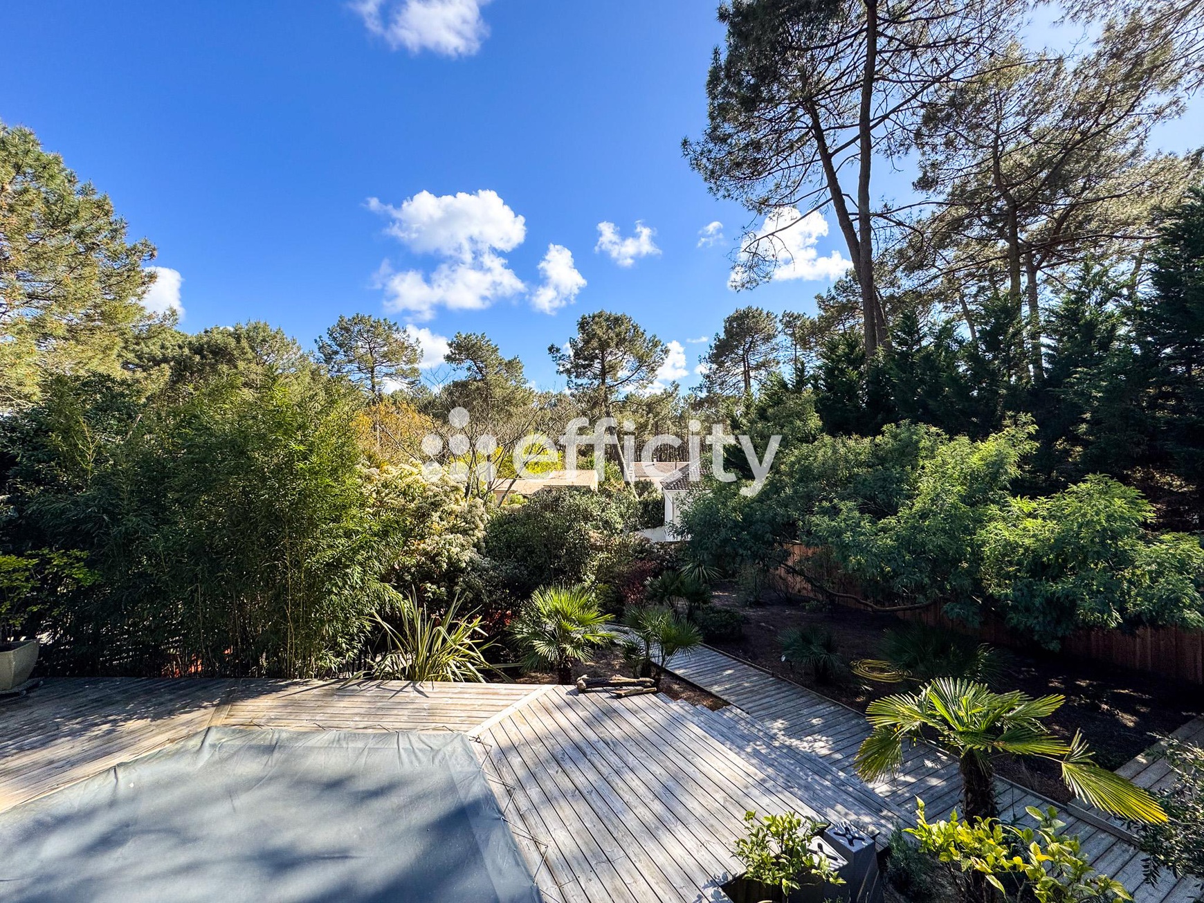 Achat immobilier Maison 5 pièces  155m2 à Lacanau (33680) - Photo n°21