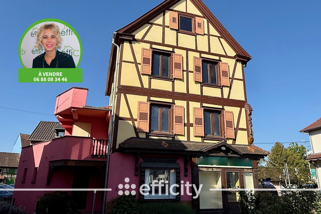 immeuble 10 pièces - 210m2 à Benfeld (67230)