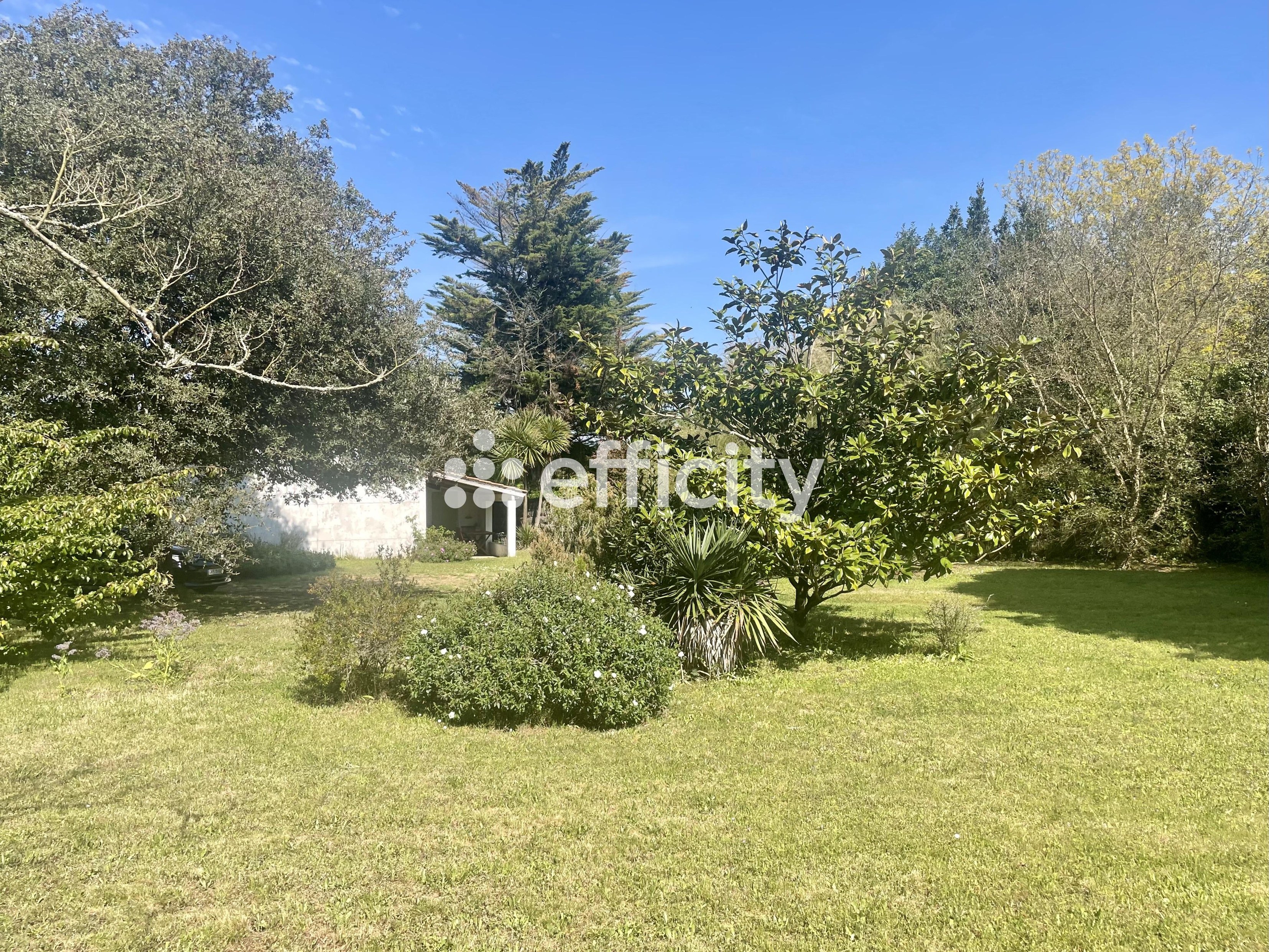 Achat immobilier Maison 4 pièces  162m2 à Dolus-d'Oléron (17550) - Photo n°7