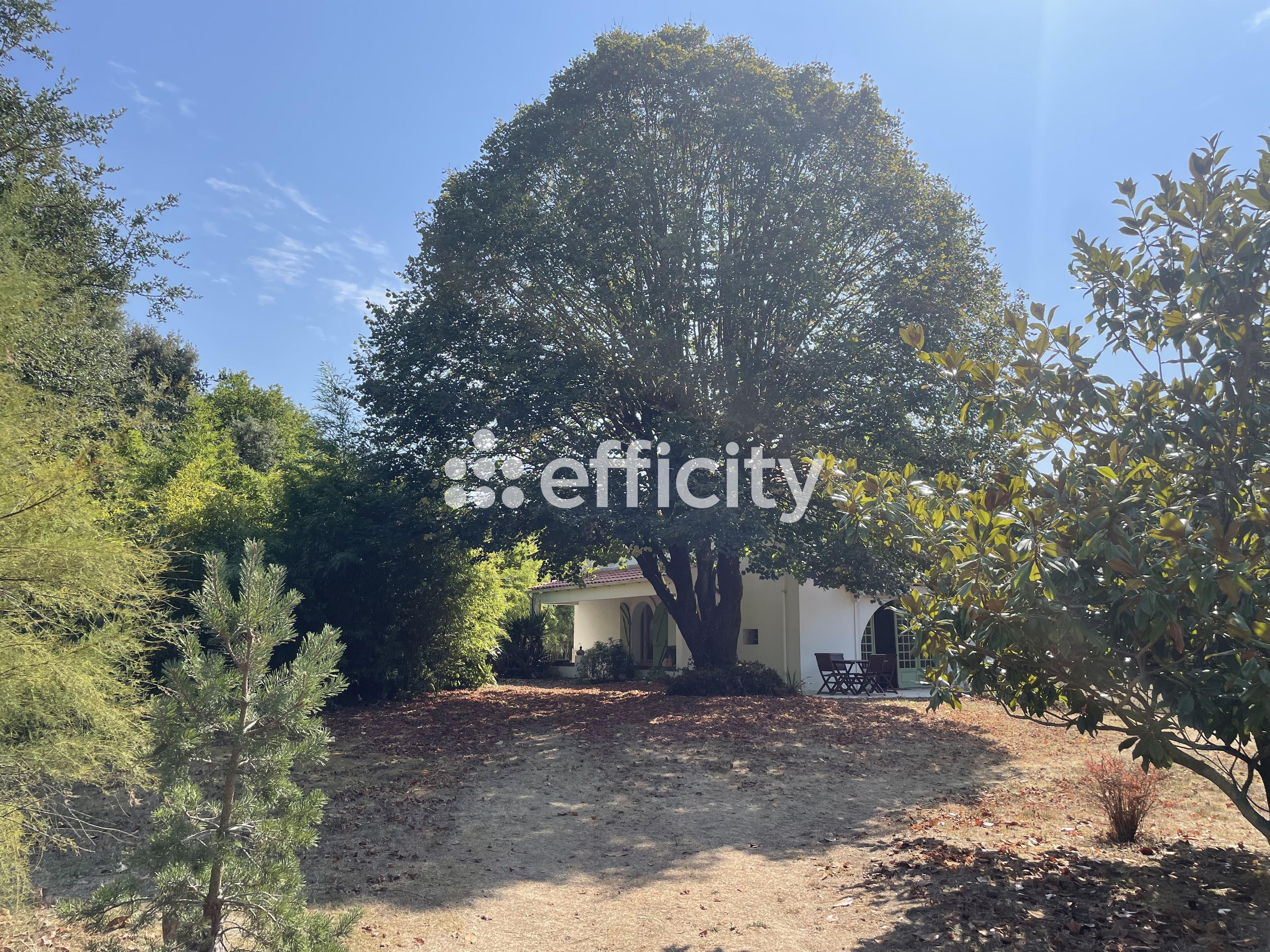 Achat immobilier Maison 4 pièces  162m2 à Dolus-d'Oléron (17550) - Photo n°10