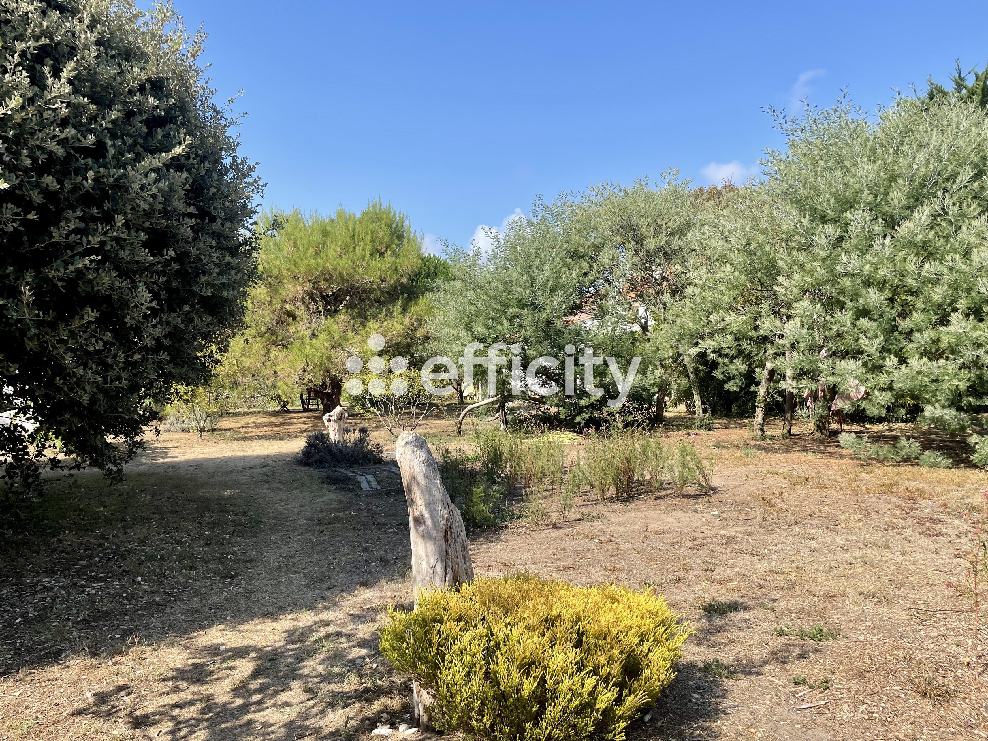 Achat immobilier Maison 4 pièces  162m2 à Dolus-d'Oléron (17550) - Photo n°8