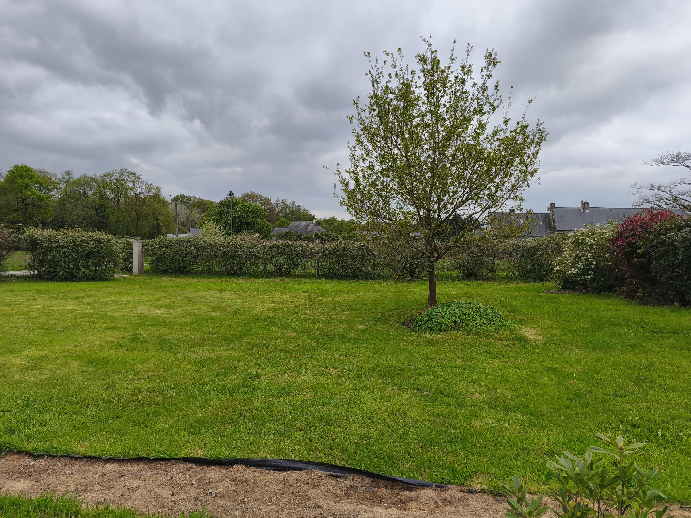 terrain  - 554m2 à Bobital (22100)