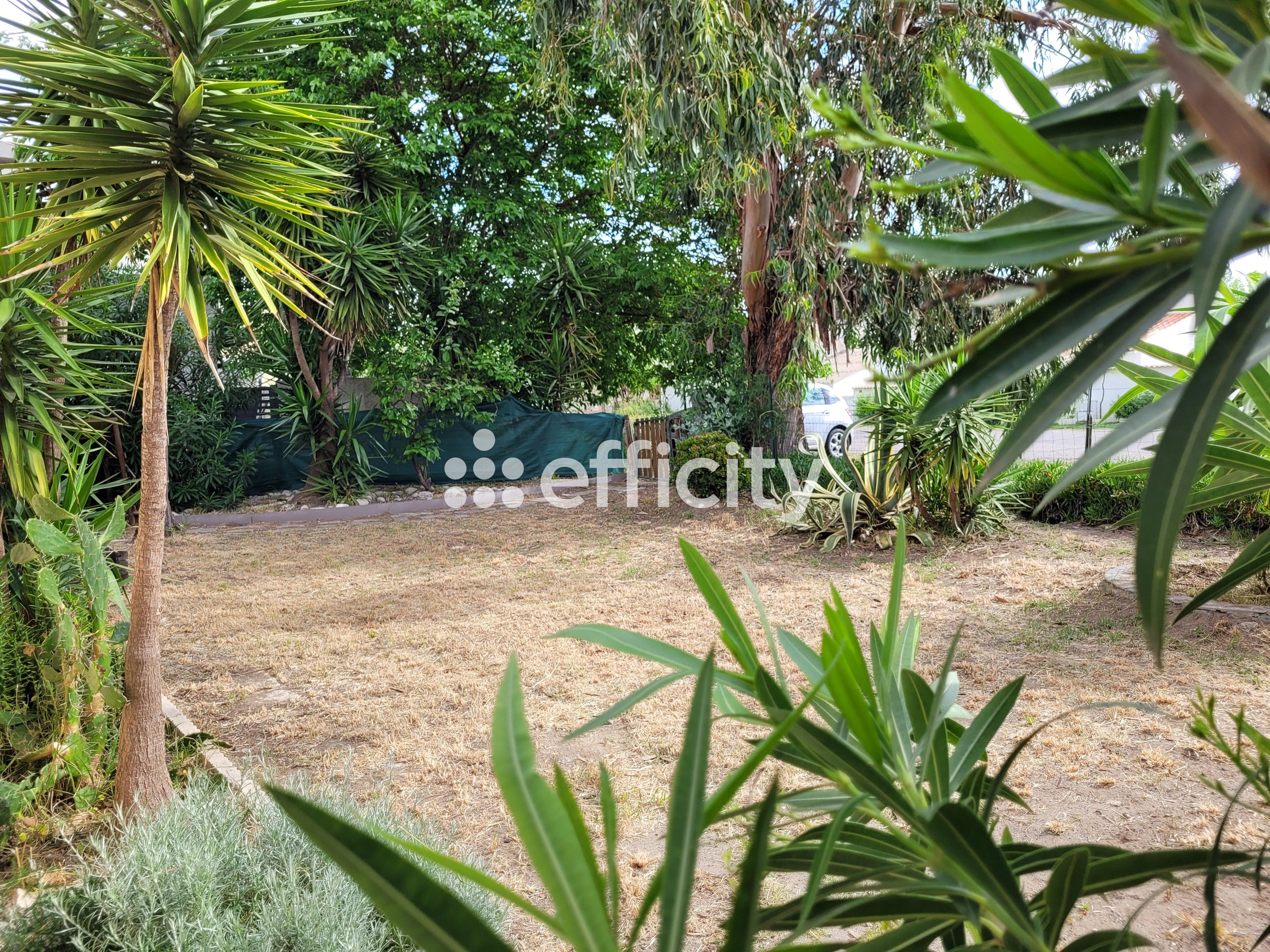 maison 3 pièces - 100m2 à Lucciana (20290)
