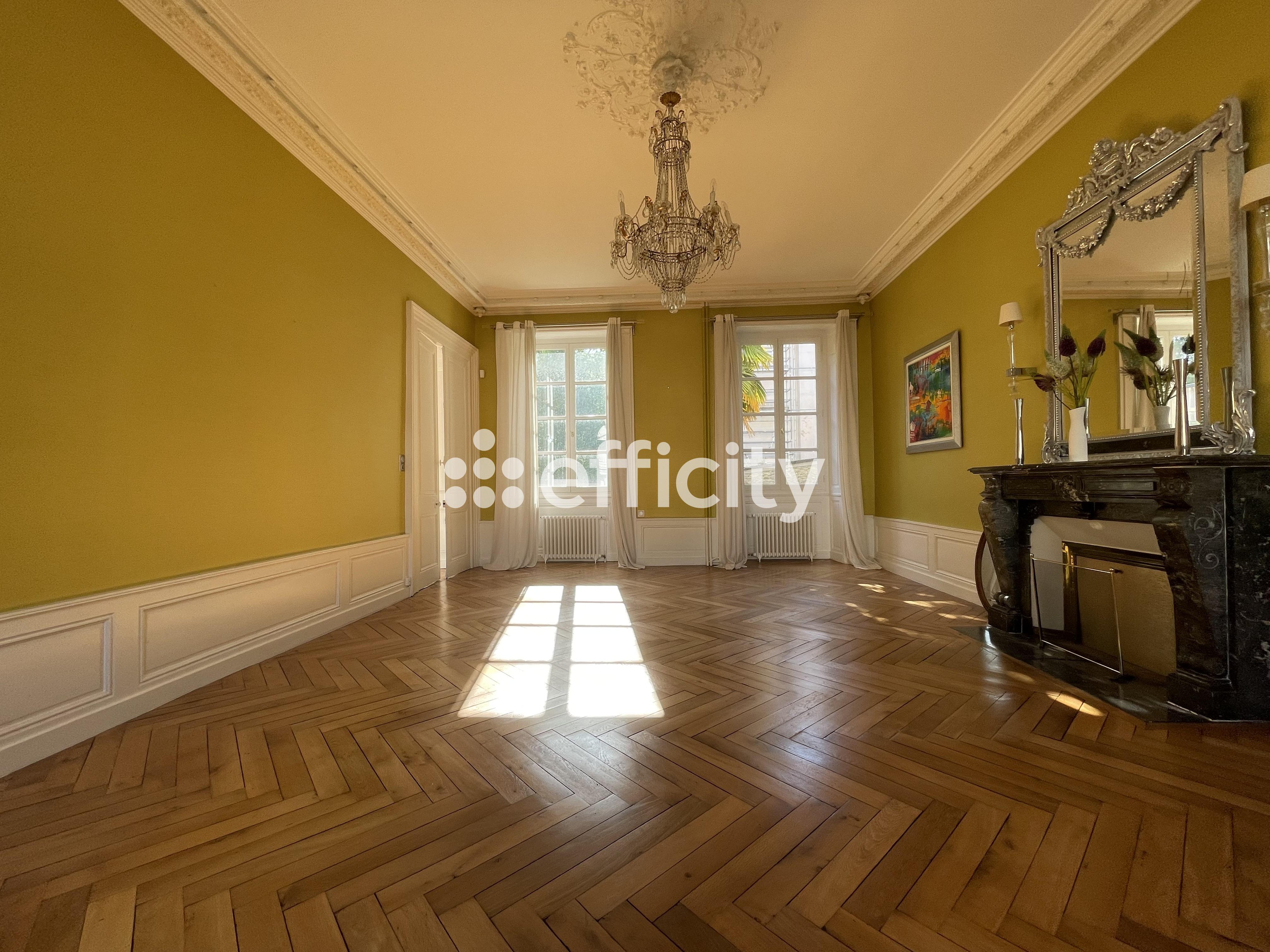 Achat immobilier Maison 10 pièces  392m2 à Laval (53000) - Photo n°8