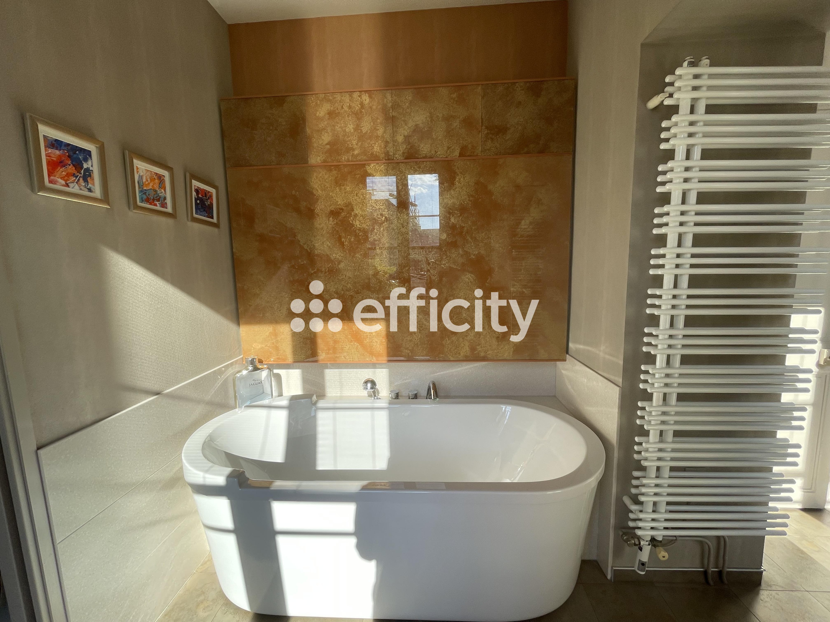 Achat immobilier Maison 10 pièces  392m2 à Laval (53000) - Photo n°13