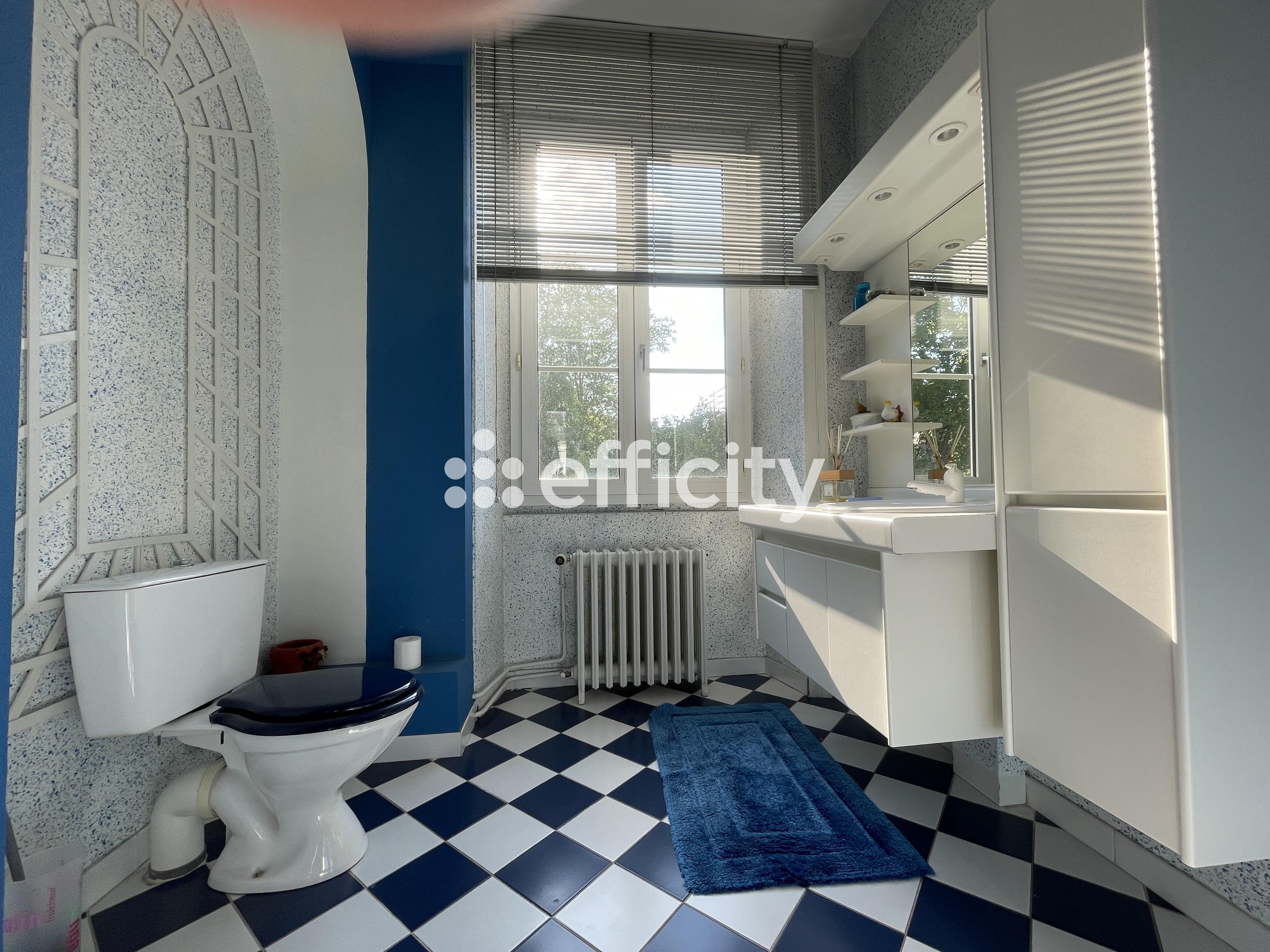 Achat immobilier Maison 10 pièces  392m2 à Laval (53000) - Photo n°14