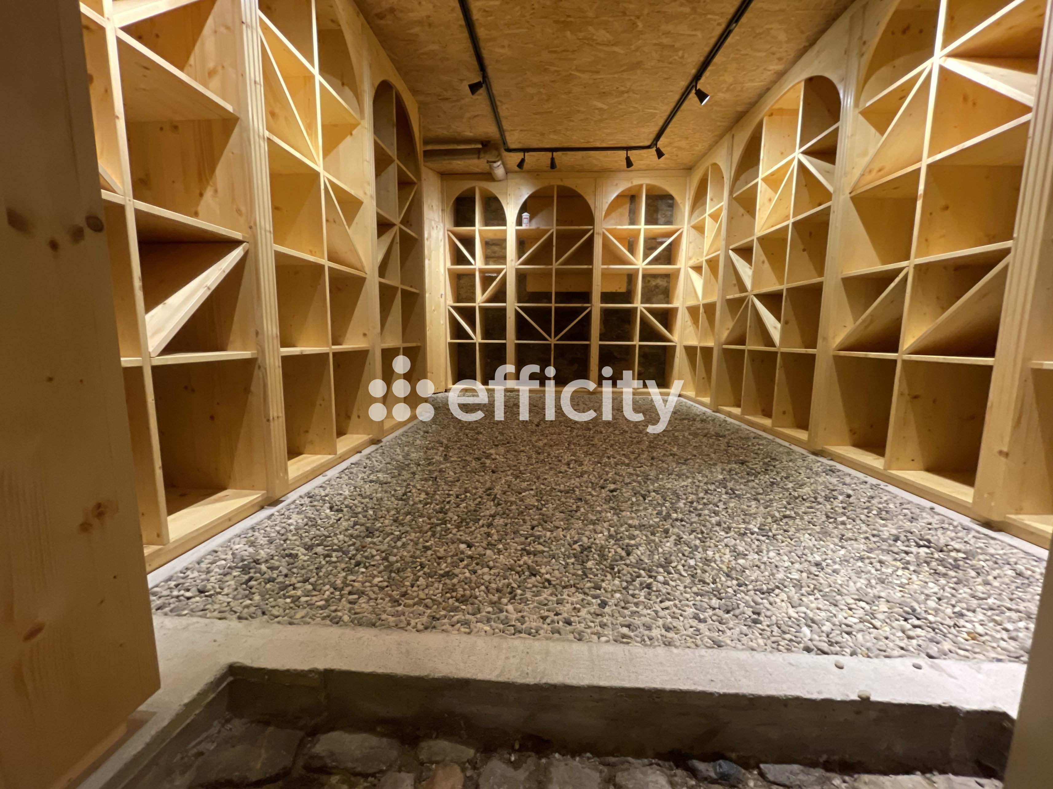 Achat immobilier Maison 10 pièces  392m2 à Laval (53000) - Photo n°19