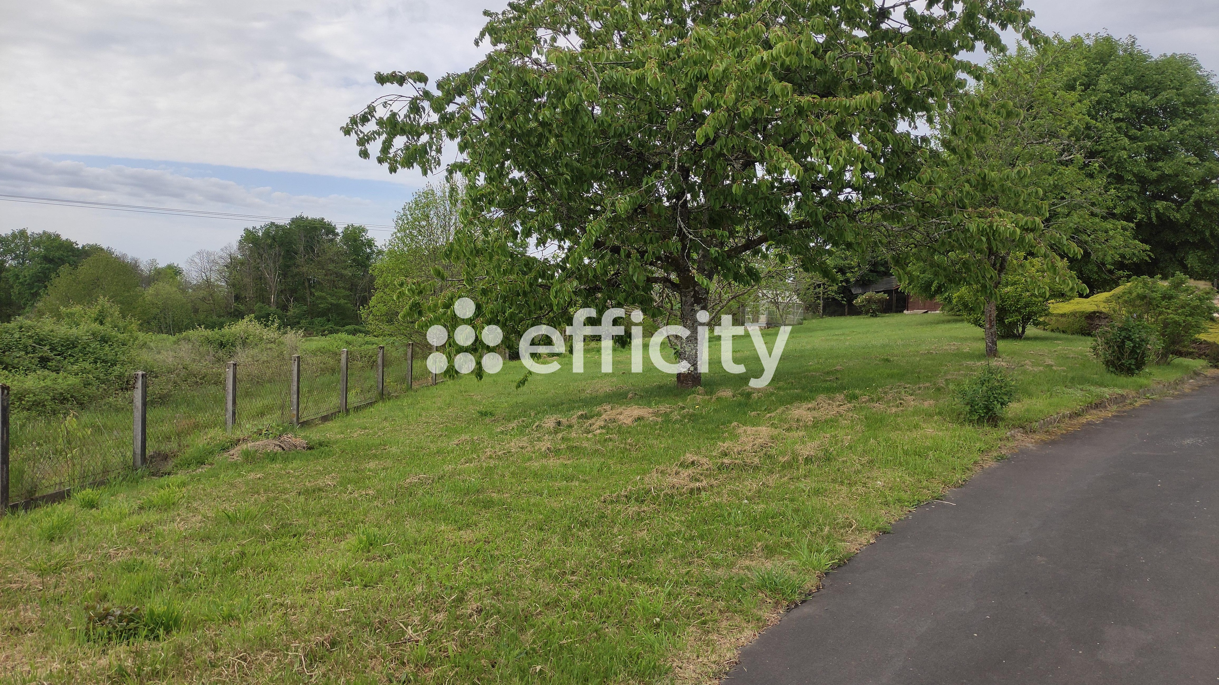 Achat immobilier Maison 5 pièces  112m2 à Saint-Bonnet-l'Enfantier (19410) - Photo n°13
