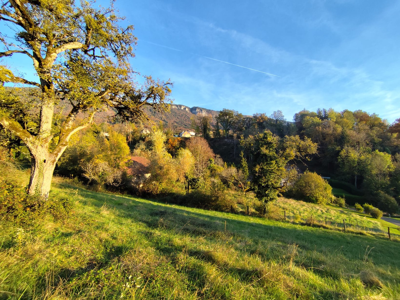 Achat immobilier Appartement 4 pièces  80m2 à Viuz-la-Chiésaz (74540) - Photo n°8