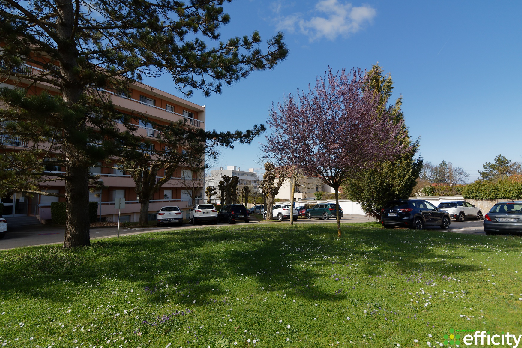 Achat immobilier Appartement 2 pièces  43m2 à Fontaine-lès-Dijon (21121) - Photo n°4