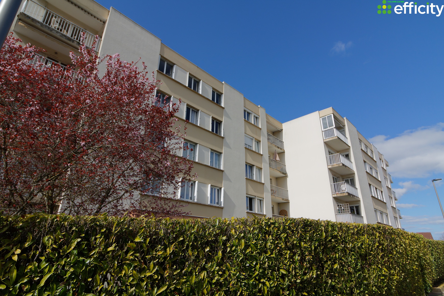 Achat immobilier Appartement 2 pièces  43m2 à Fontaine-lès-Dijon (21121) - Photo n°5