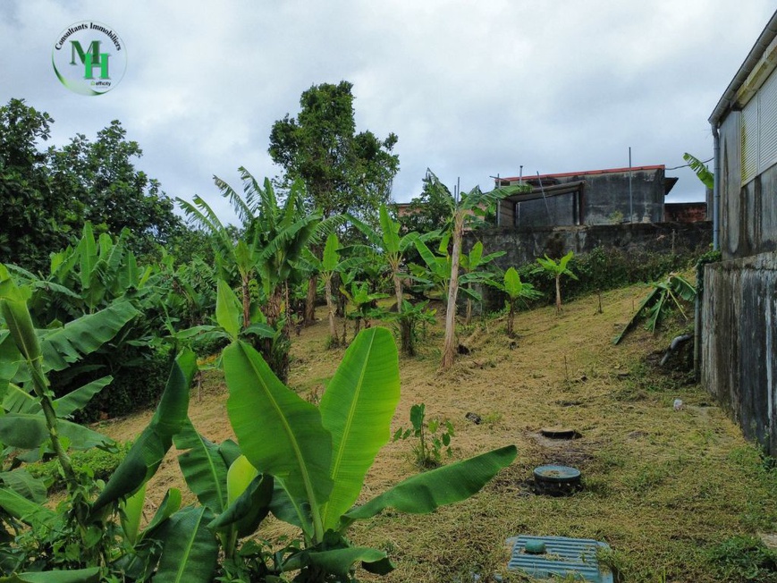 Achat immobilier Local commercial 1 pièces  132m2 à Sainte-Marie (97230) - Photo n°5