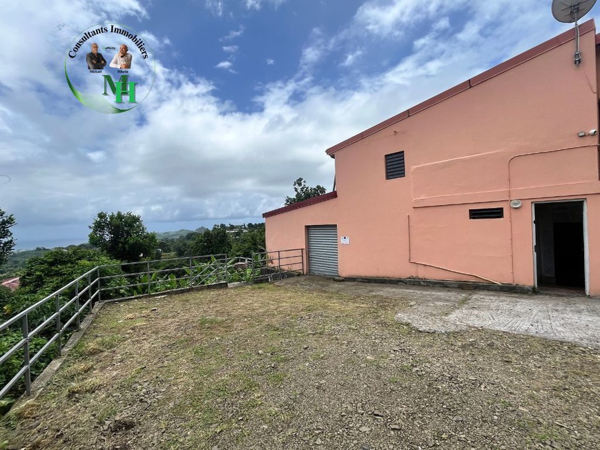 Achat immobilier Local commercial 1 pièces  132m2 à Sainte-Marie (97230) - Photo n°1