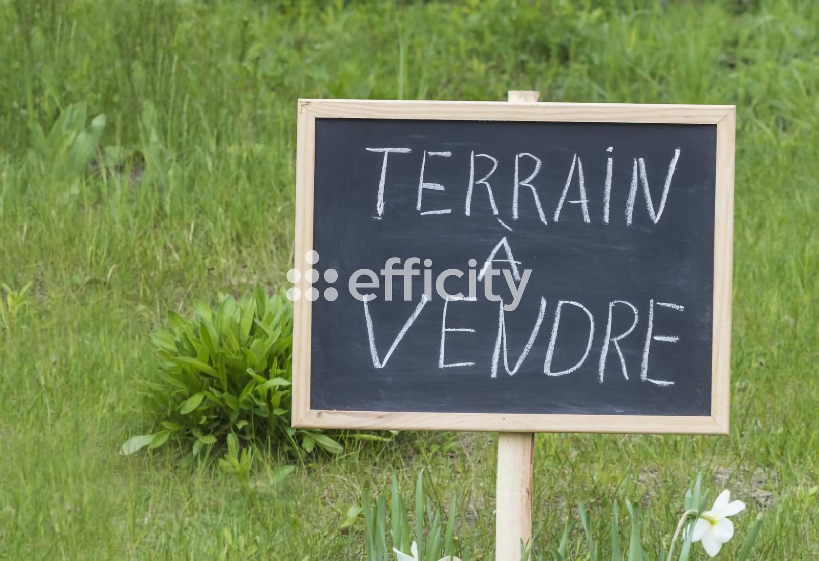 terrain  - 1000m2 à Montoire-sur-le-Loir (41800)