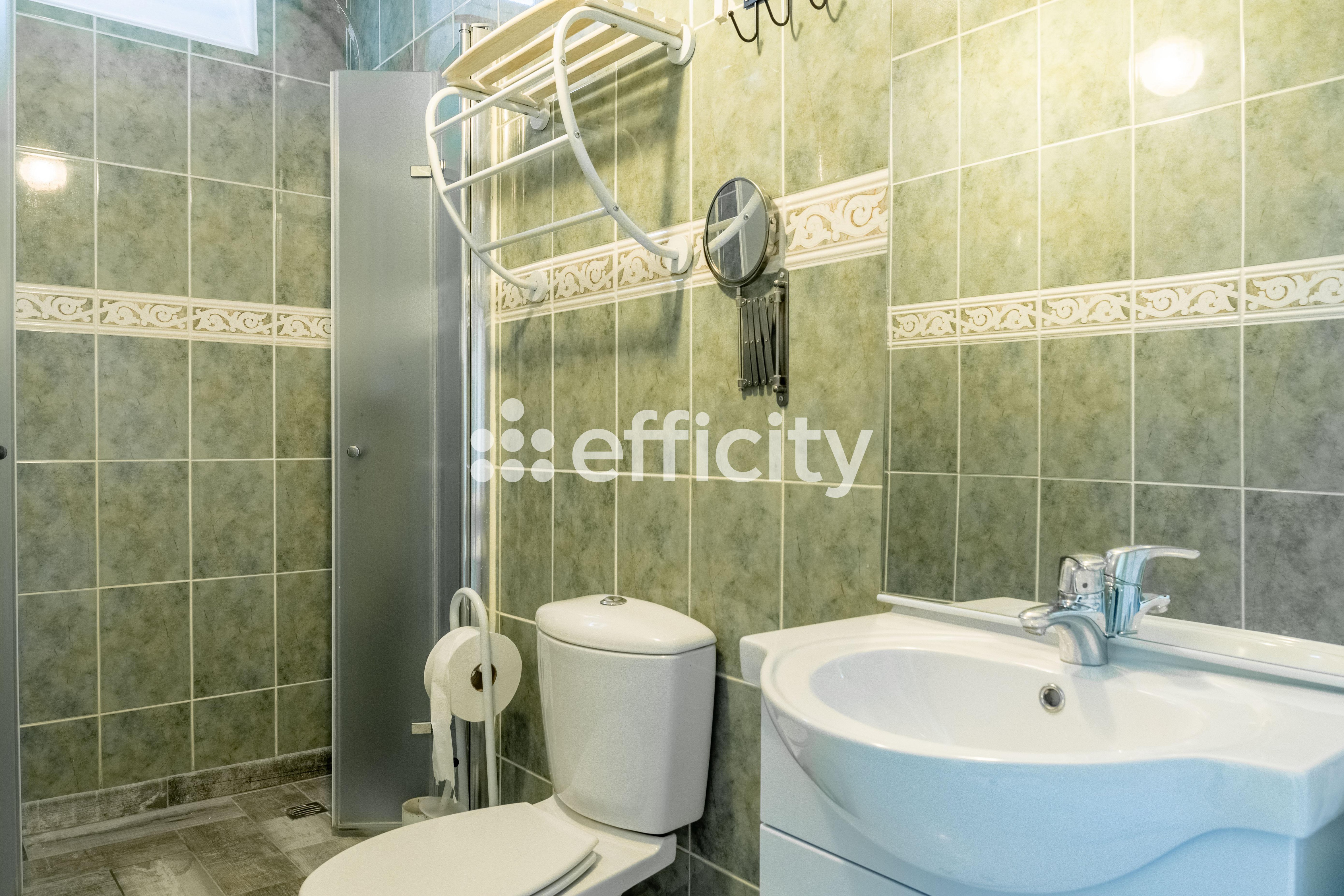 Achat immobilier Maison 6 pièces  100m2 à Villeneuve-Saint-Georges (94190) - Photo n°10