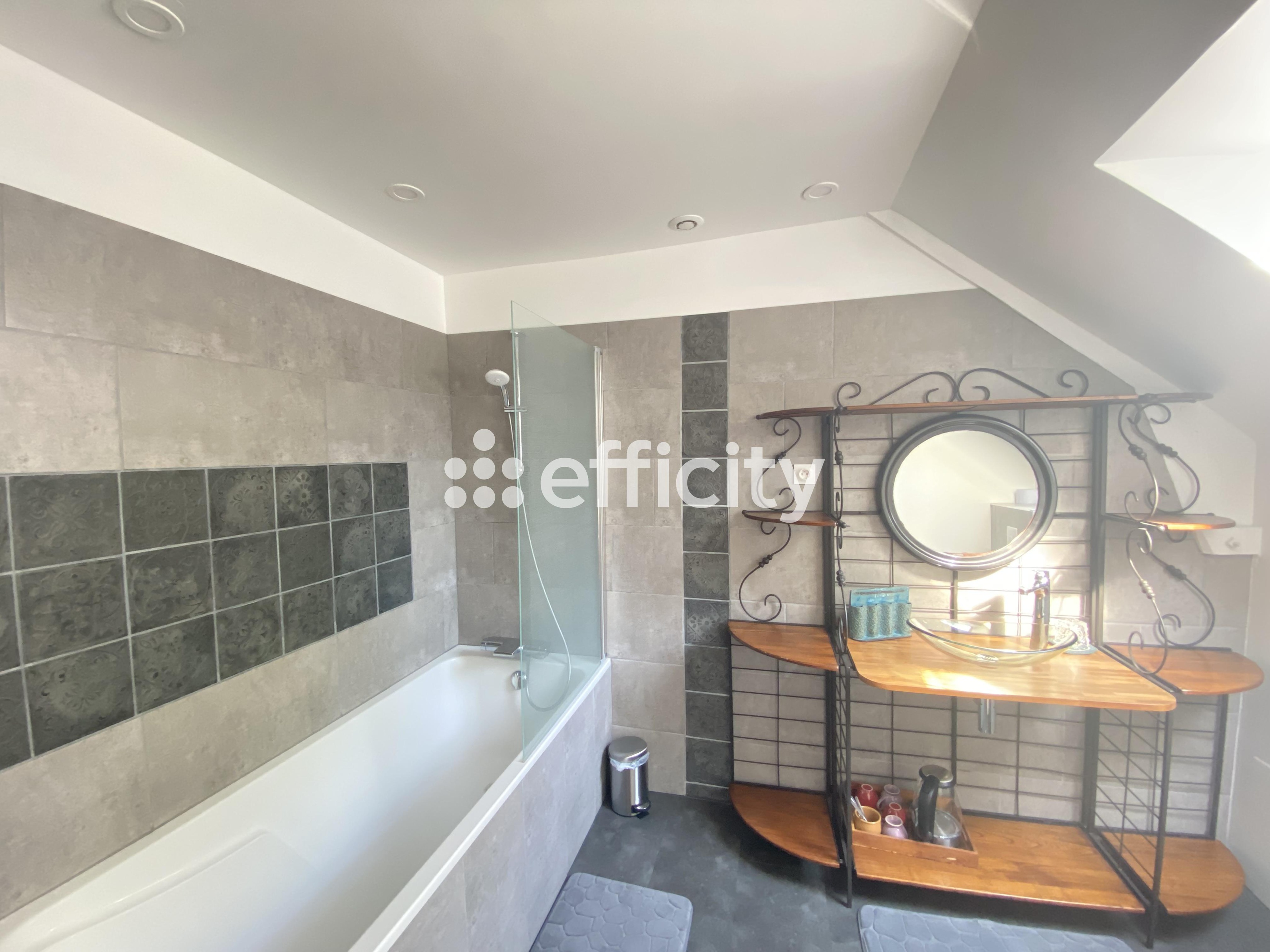 Achat immobilier Maison 13 pièces  395m2 à Lantillac (56120) - Photo n°9