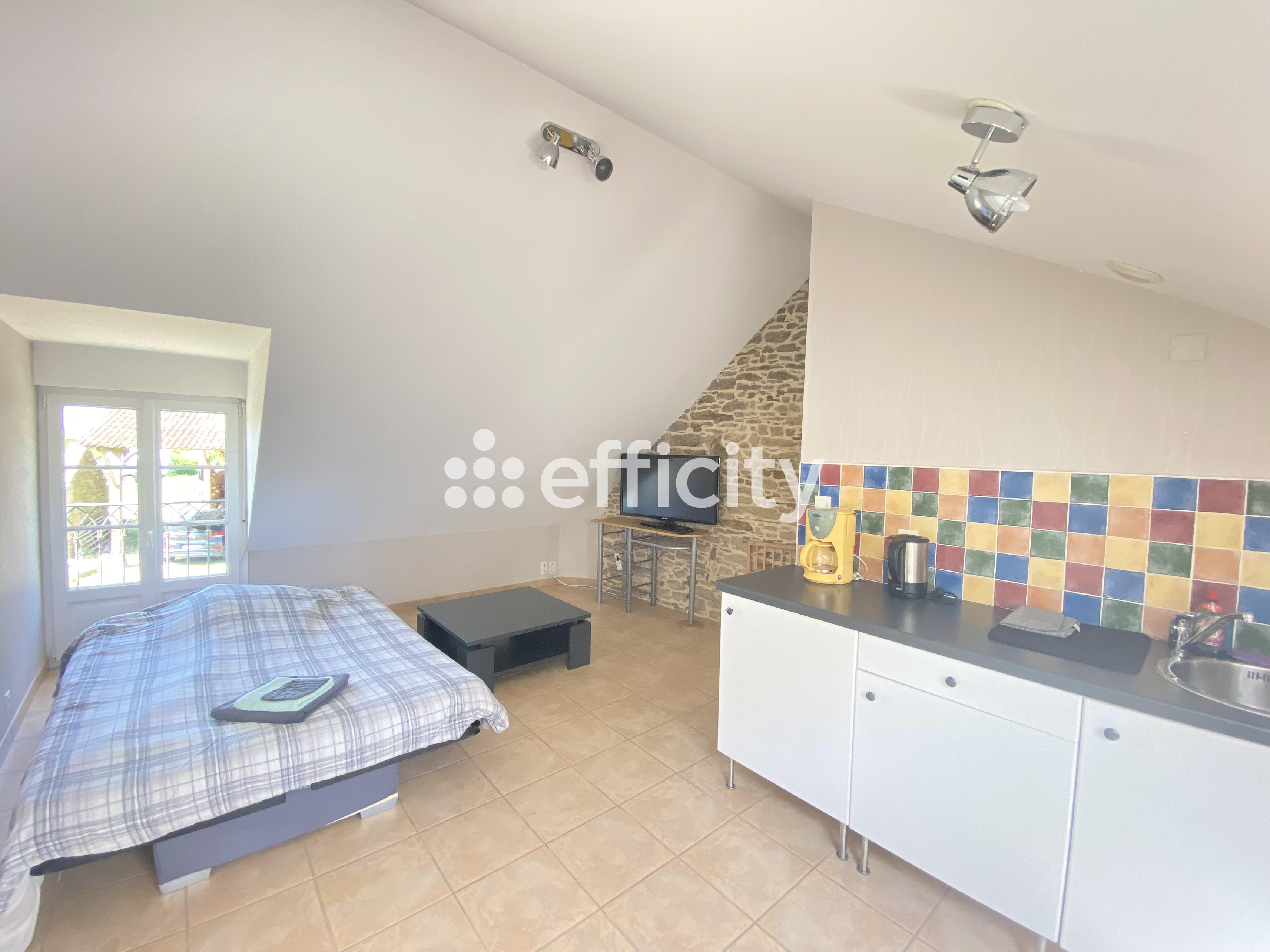 Achat immobilier Maison 13 pièces  395m2 à Lantillac (56120) - Photo n°20