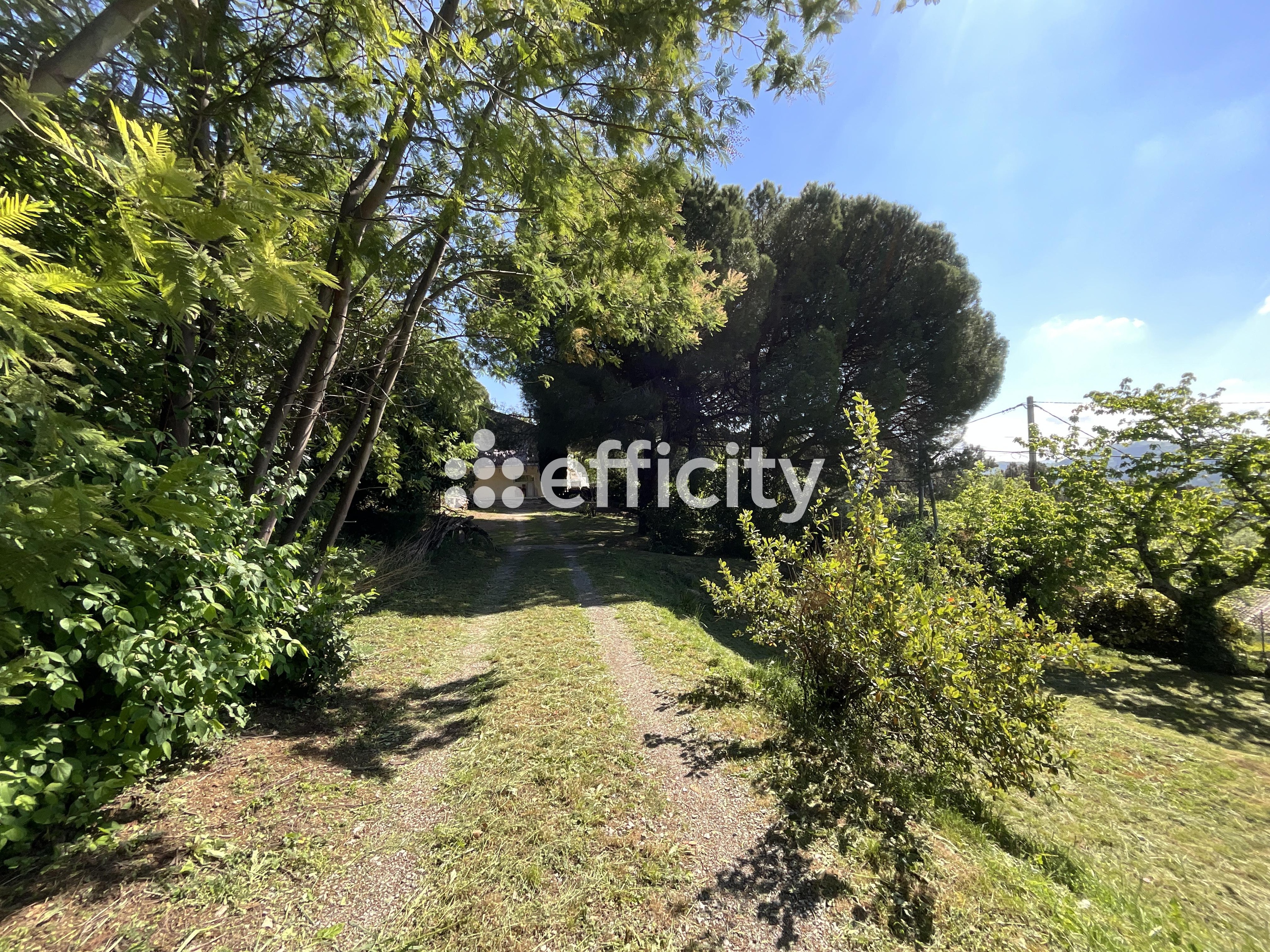 Achat immobilier Maison 11 pièces  215m2 à Coux (07000) - Photo n°5