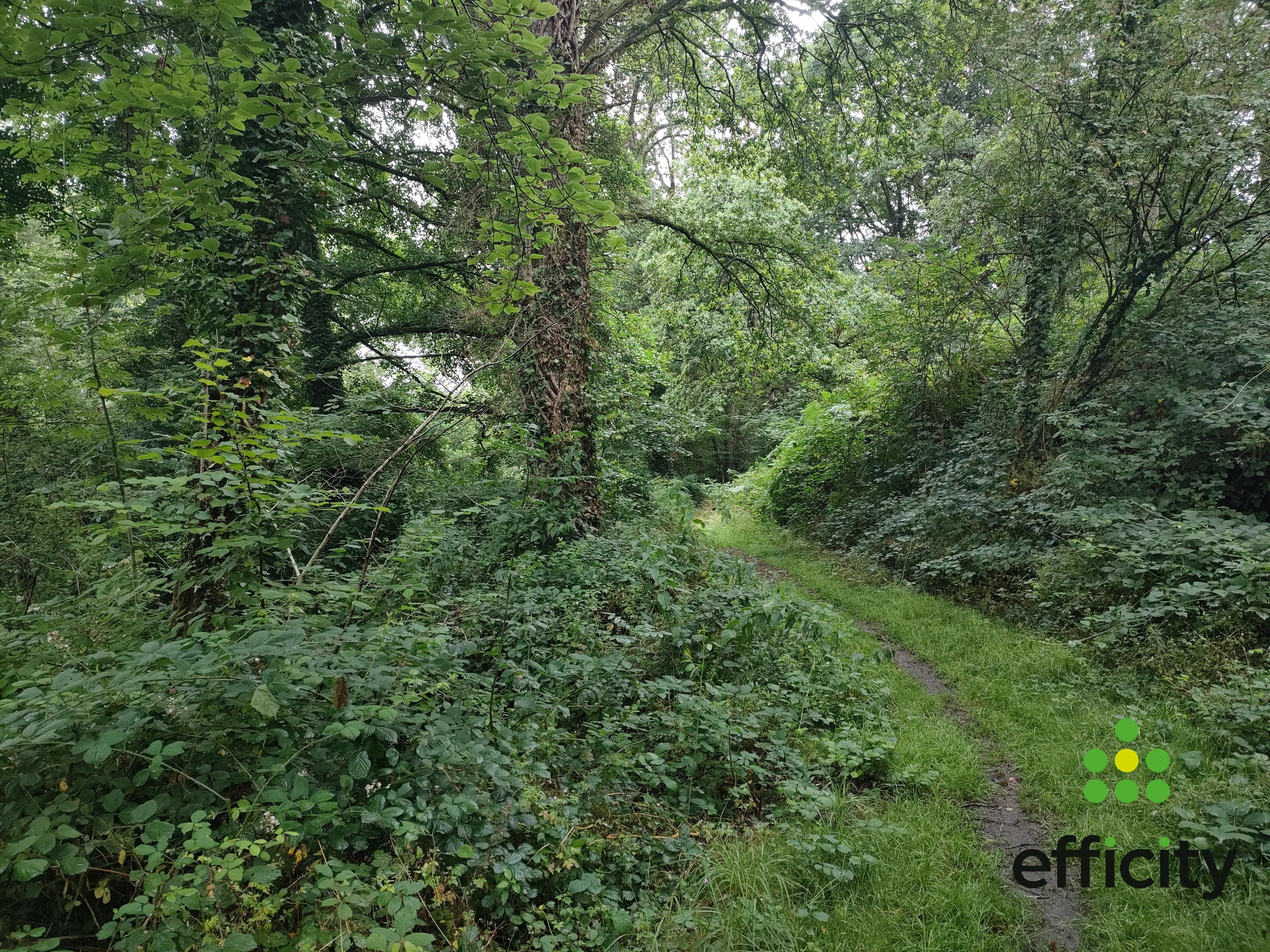 terrain  - 64050m2 à Cuguen (35270)