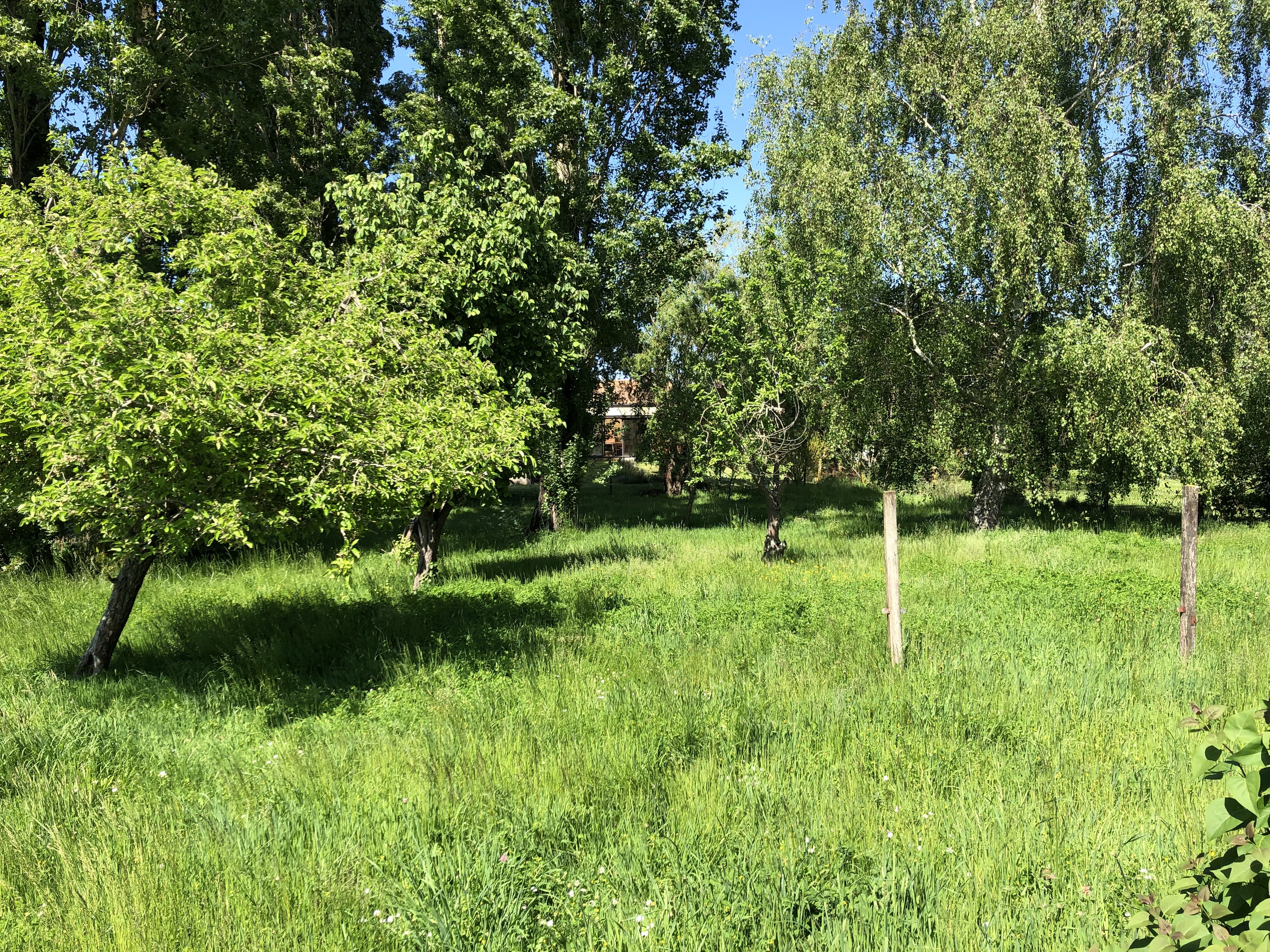 Achat immobilier Maison 5 pièces  130m2 à Saint-Laurent-de-la-Prée (17450) - Photo n°9