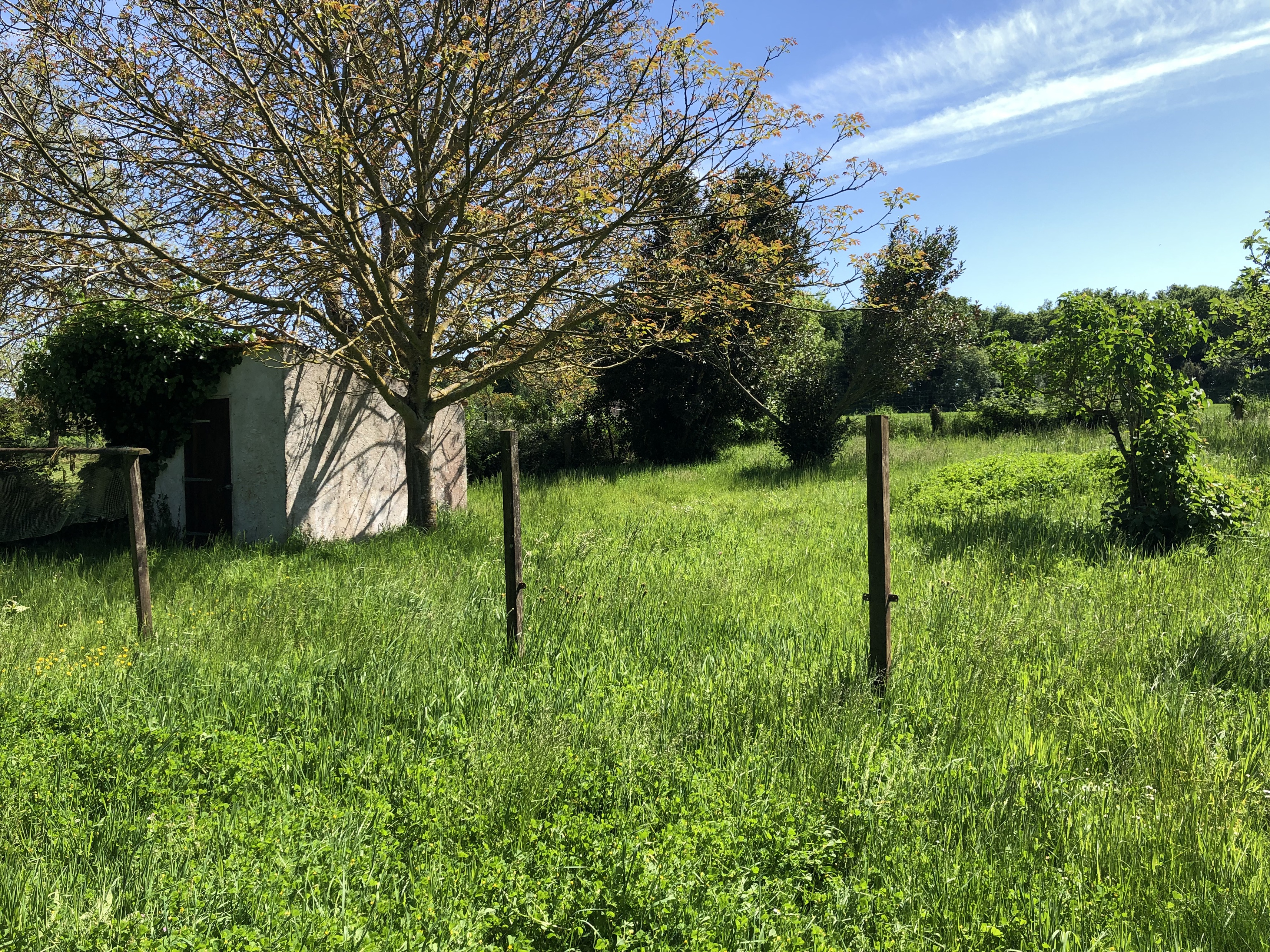 Achat immobilier Maison 5 pièces  130m2 à Saint-Laurent-de-la-Prée (17450) - Photo n°10