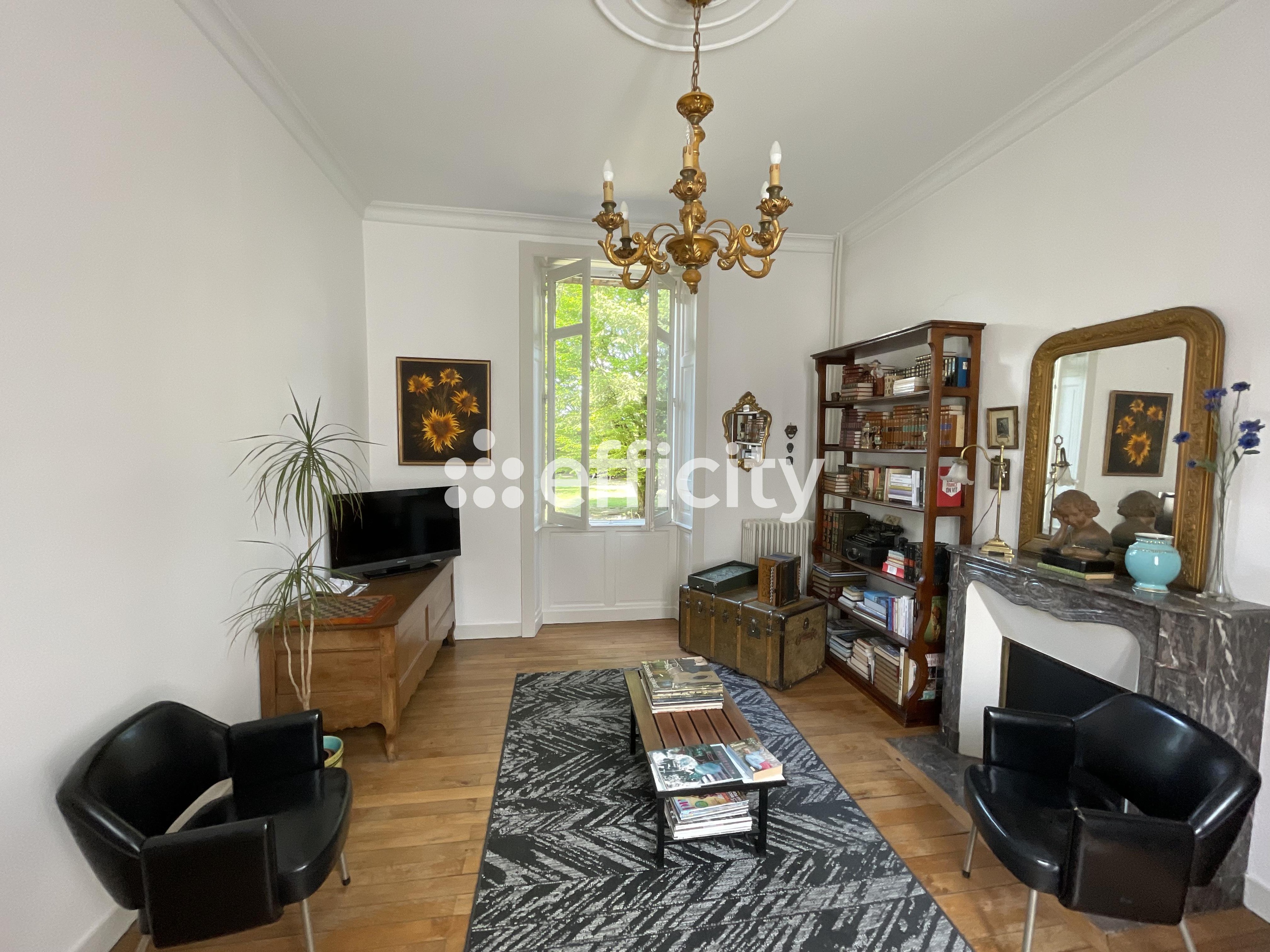 Achat immobilier Maison 7 pièces  169m2 à Laval (53000) - Photo n°4