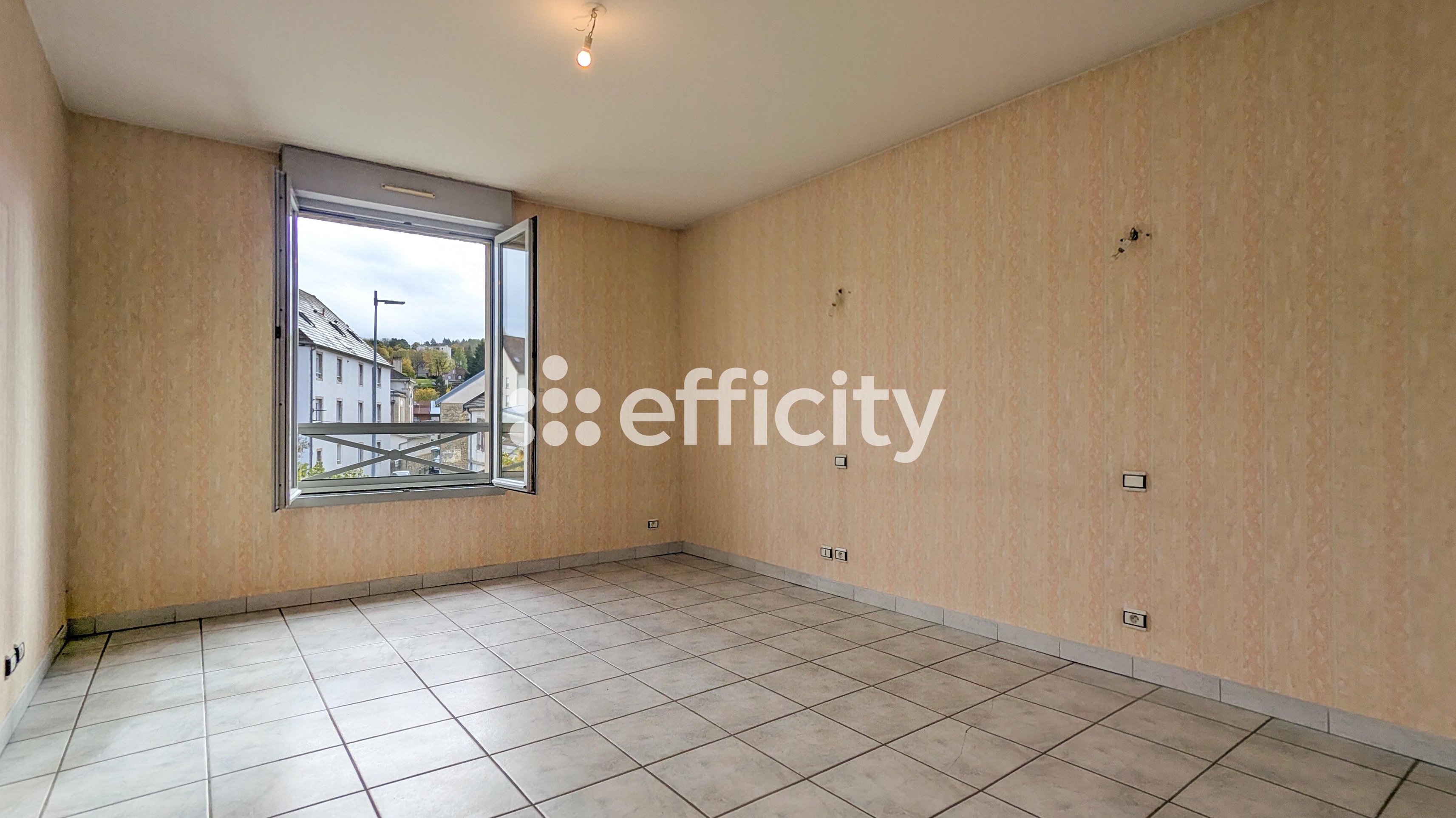 Achat immobilier Appartement 5 pièces  160m2 à Lons-le-Saunier (39000) - Photo n°5