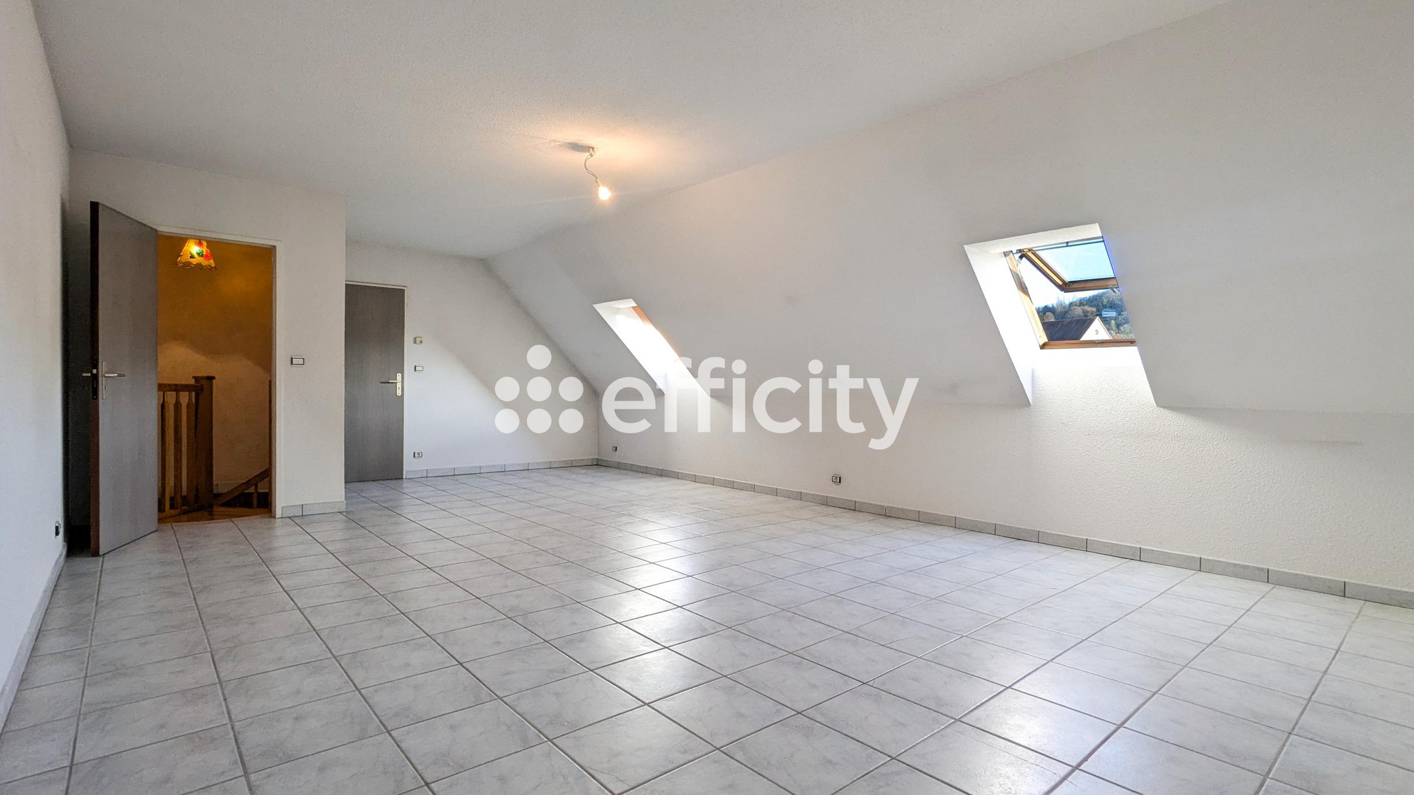 Achat immobilier Appartement 5 pièces  160m2 à Lons-le-Saunier (39000) - Photo n°8