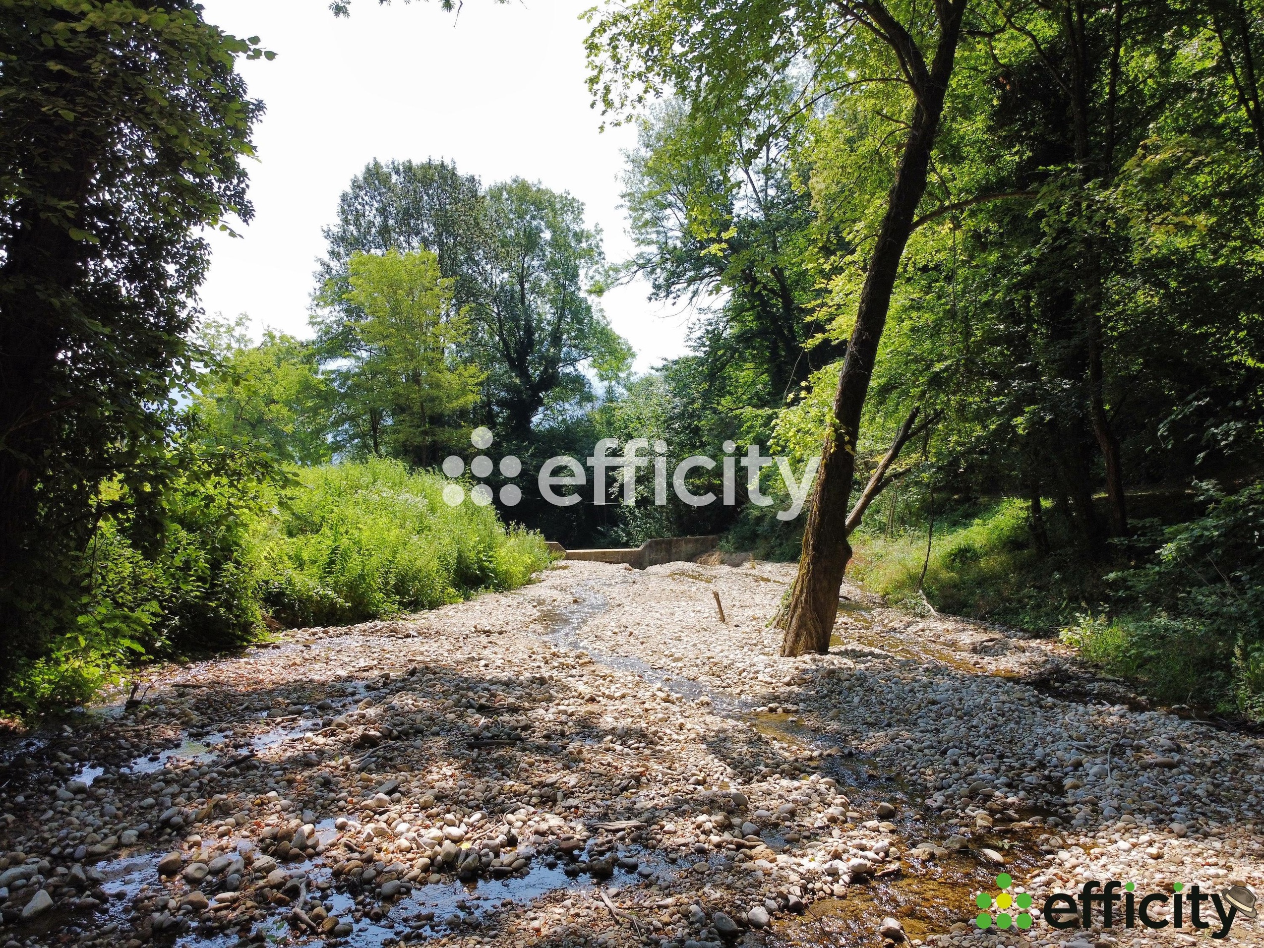 Achat immobilier Maison 12 pièces  390m2 à Cras (38210) - Photo n°4