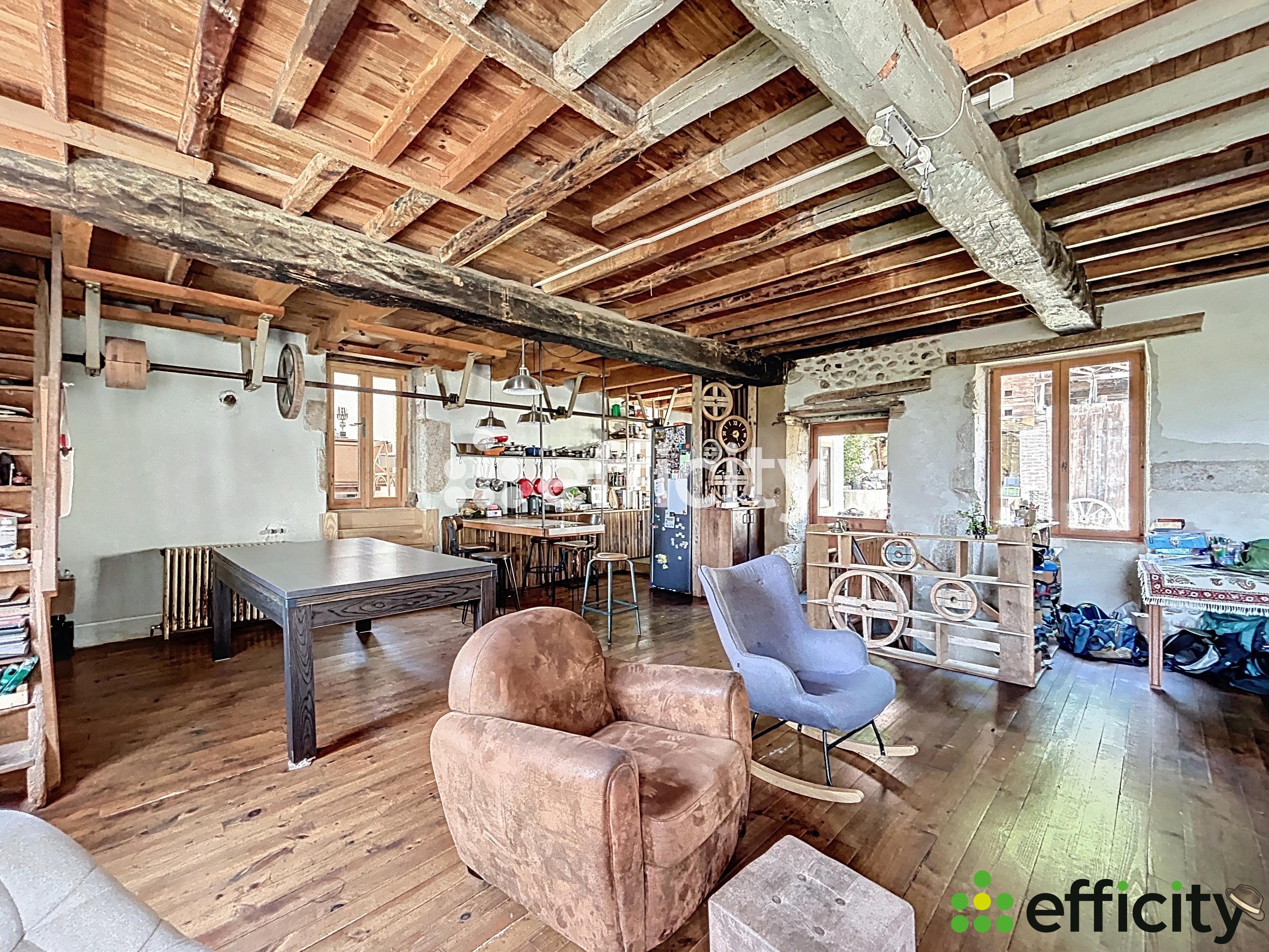 Achat immobilier Maison 12 pièces  390m2 à Cras (38210) - Photo n°7