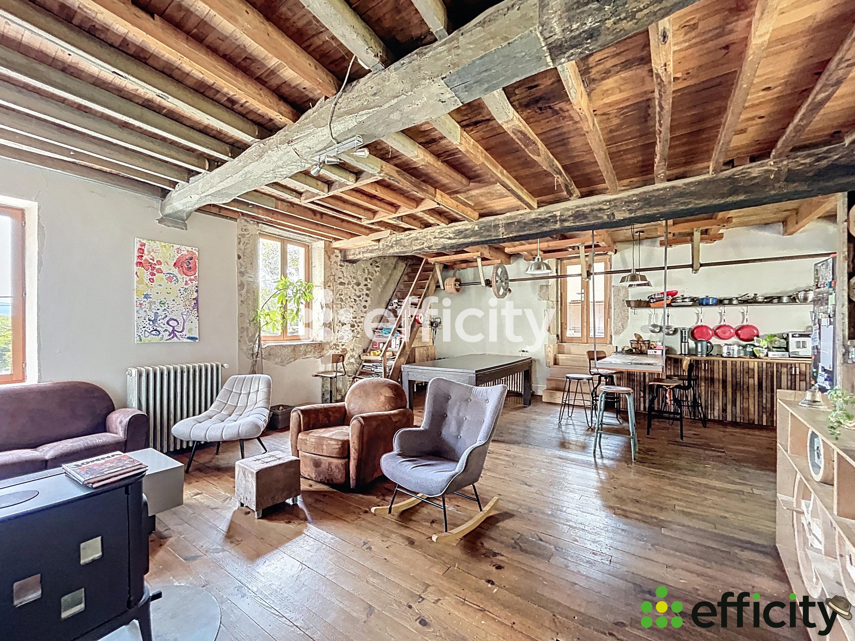 Achat immobilier Maison 12 pièces  390m2 à Cras (38210) - Photo n°8