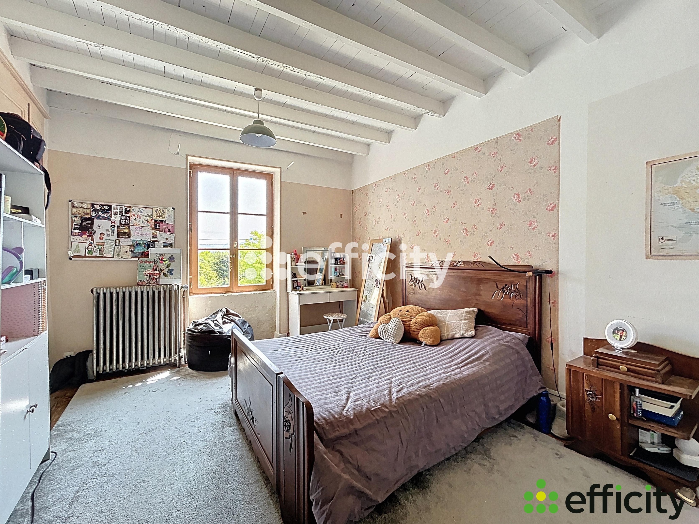 Achat immobilier Maison 12 pièces  390m2 à Cras (38210) - Photo n°14