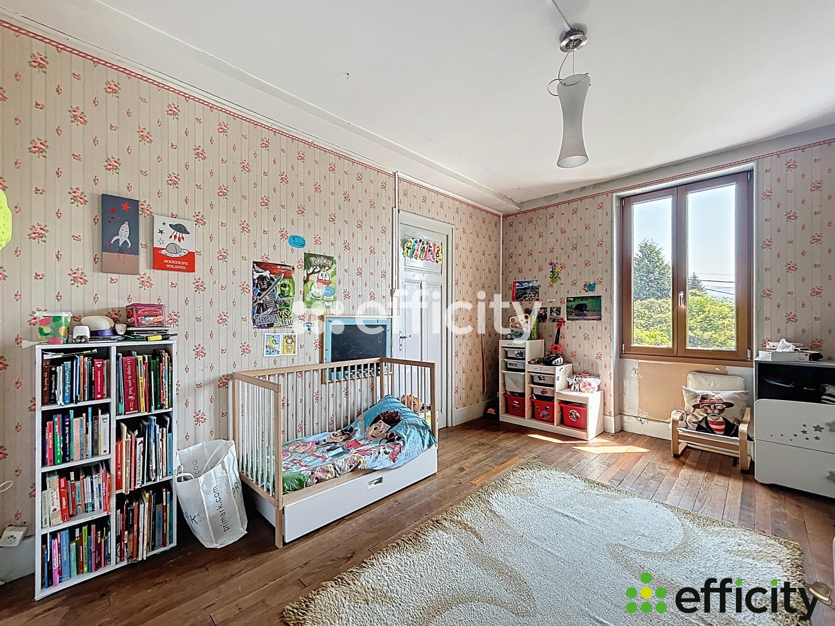 Achat immobilier Maison 12 pièces  390m2 à Cras (38210) - Photo n°16