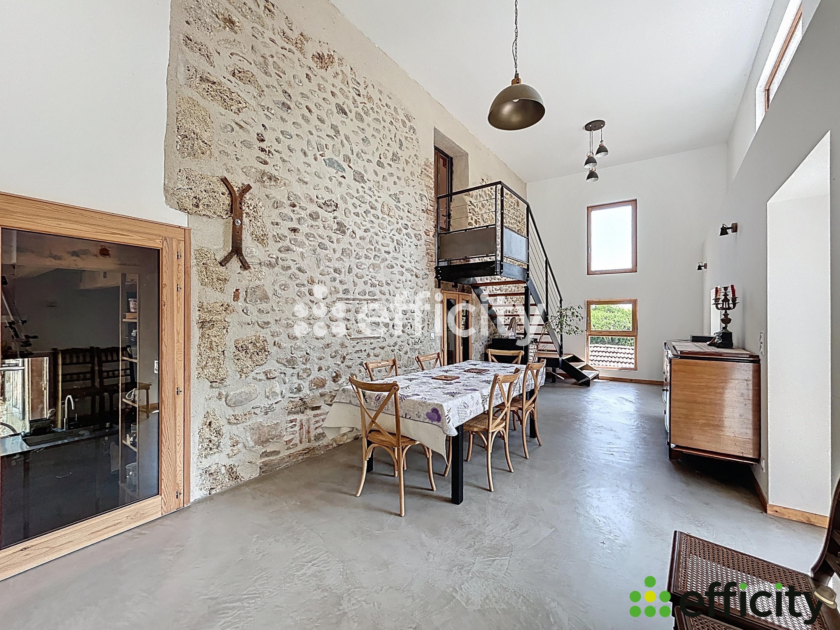 Achat immobilier Maison 12 pièces  390m2 à Cras (38210) - Photo n°10