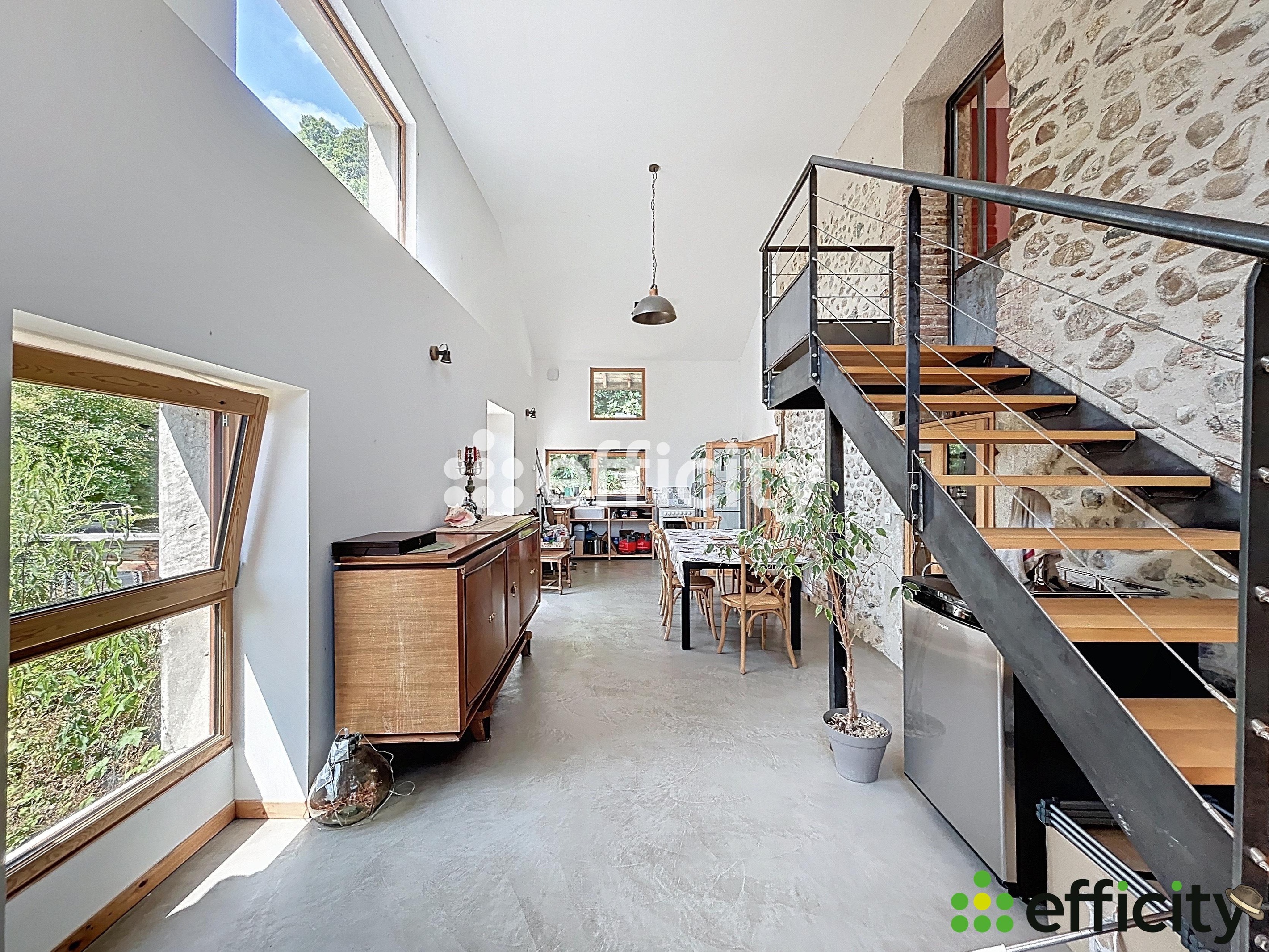 Achat immobilier Maison 12 pièces  390m2 à Cras (38210) - Photo n°11