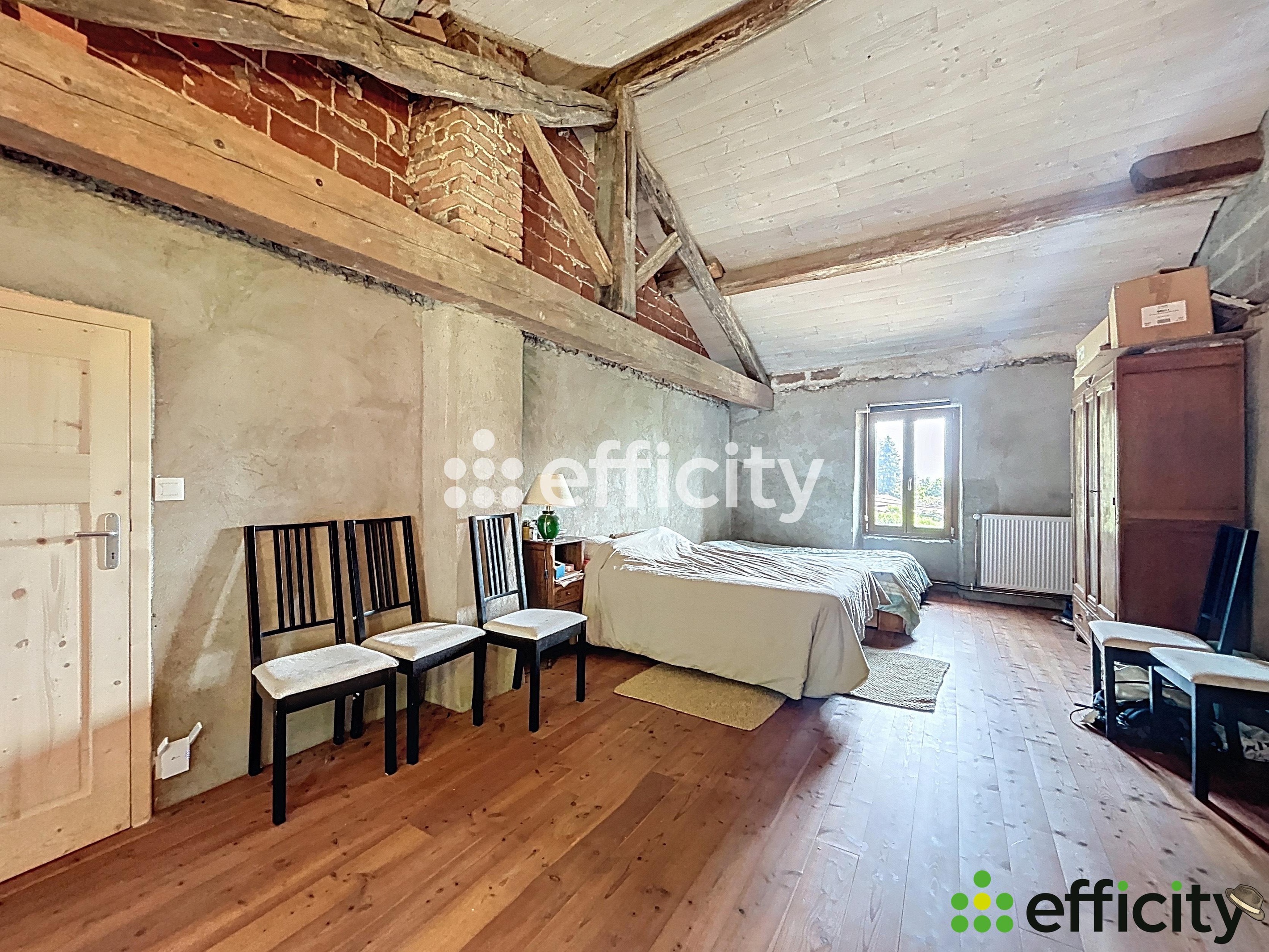 Achat immobilier Maison 12 pièces  390m2 à Cras (38210) - Photo n°17