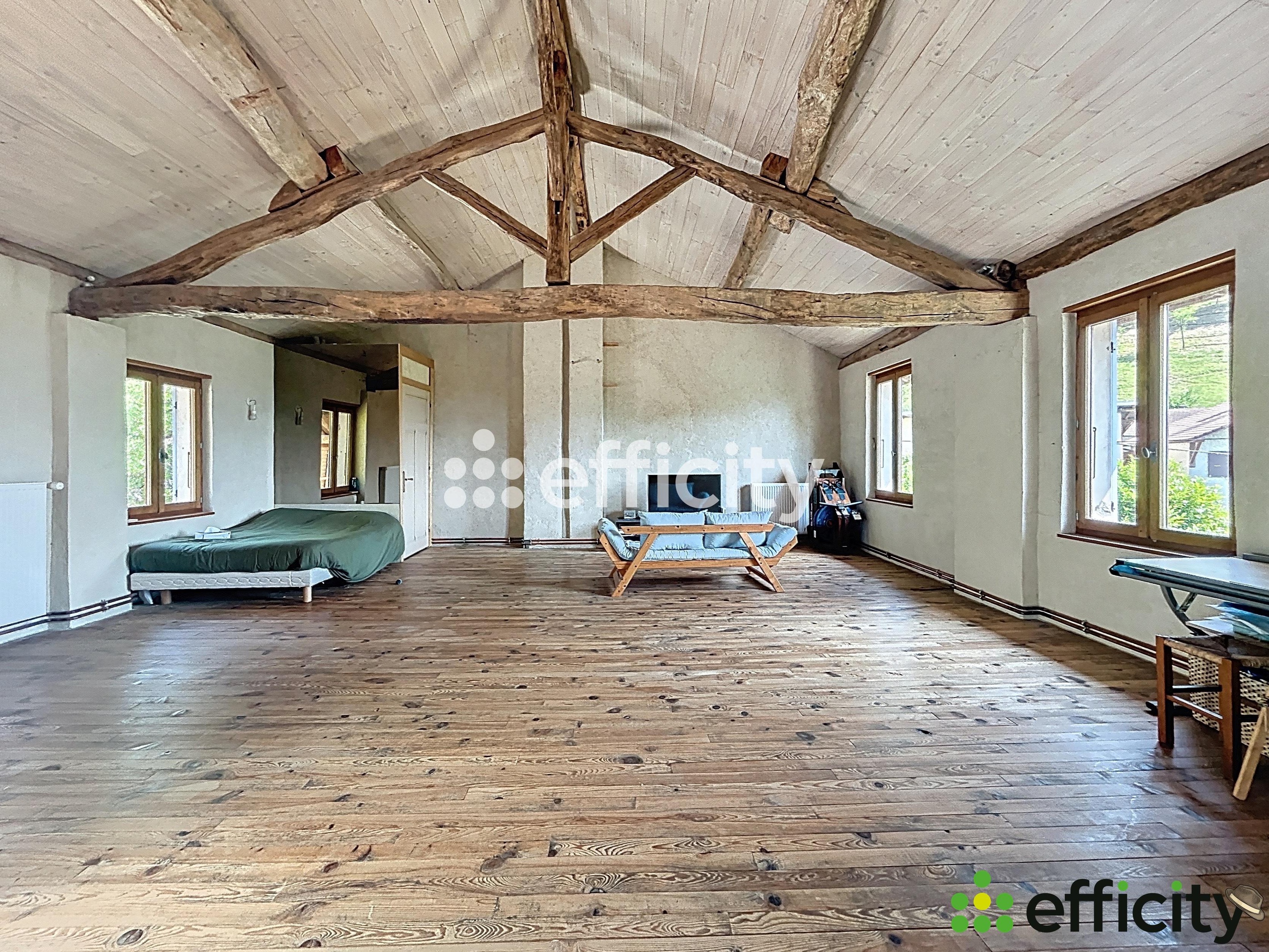 Achat immobilier Maison 12 pièces  390m2 à Cras (38210) - Photo n°13