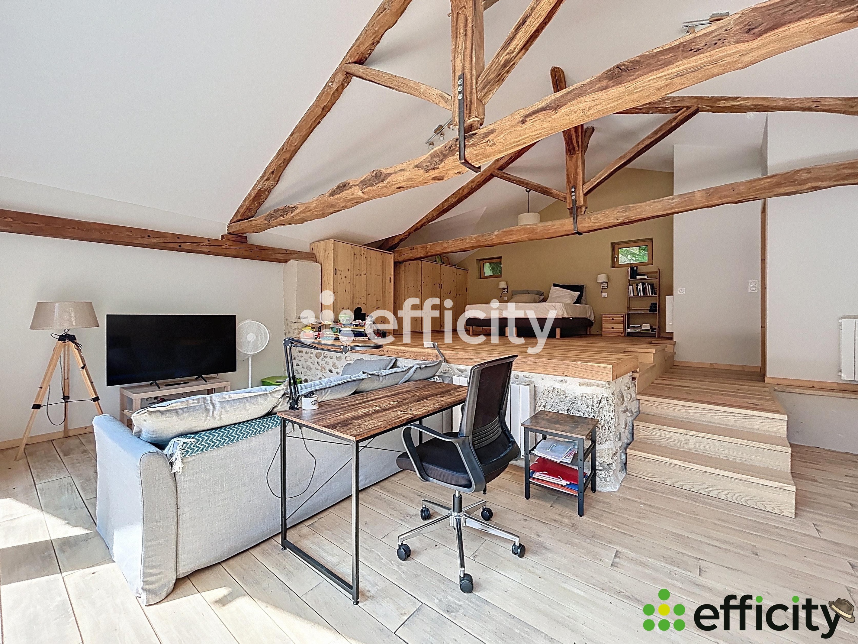 Achat immobilier Maison 12 pièces  390m2 à Cras (38210) - Photo n°23