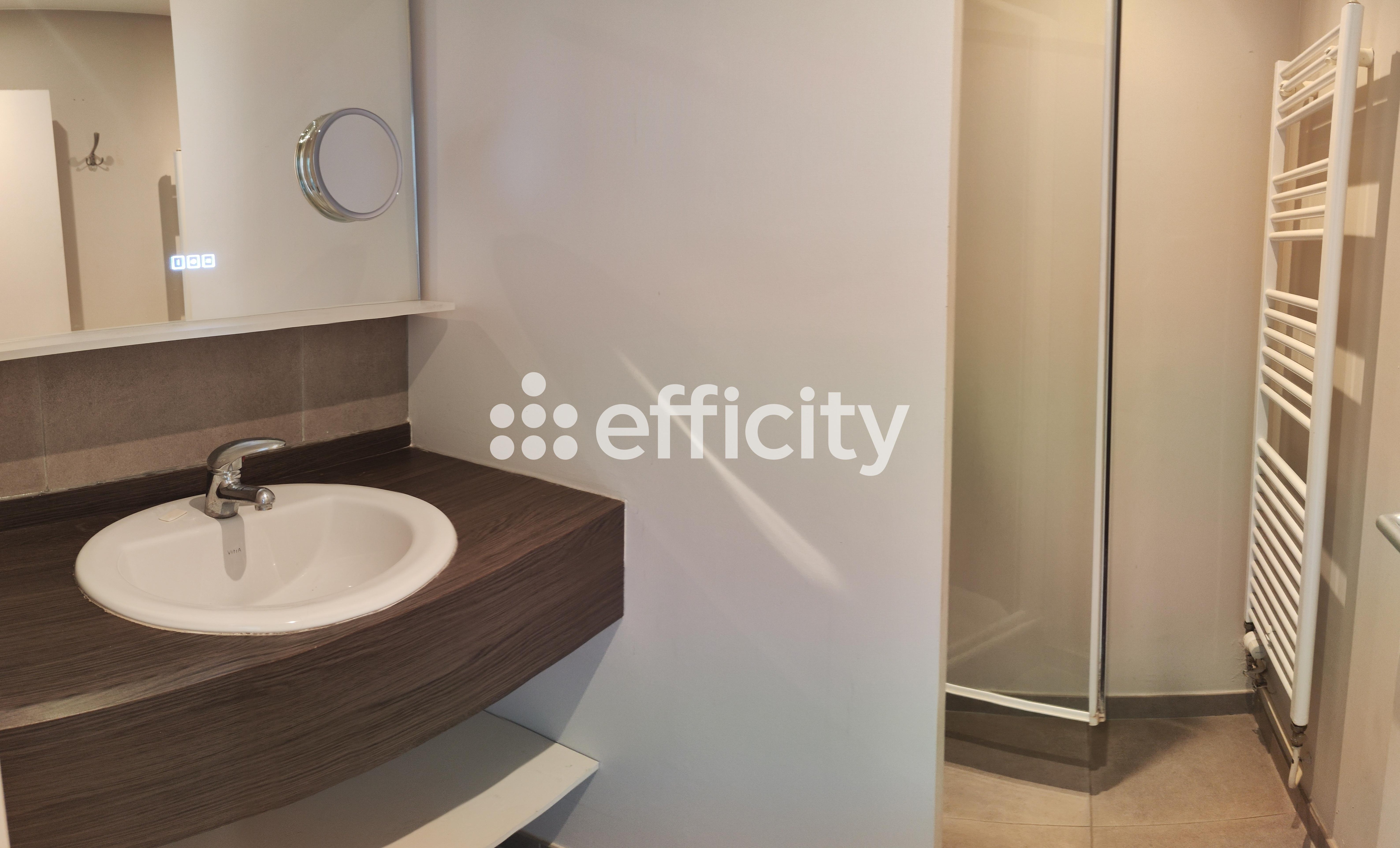 Achat immobilier Maison 4 pièces  101m2 à Croix (59170) - Photo n°9