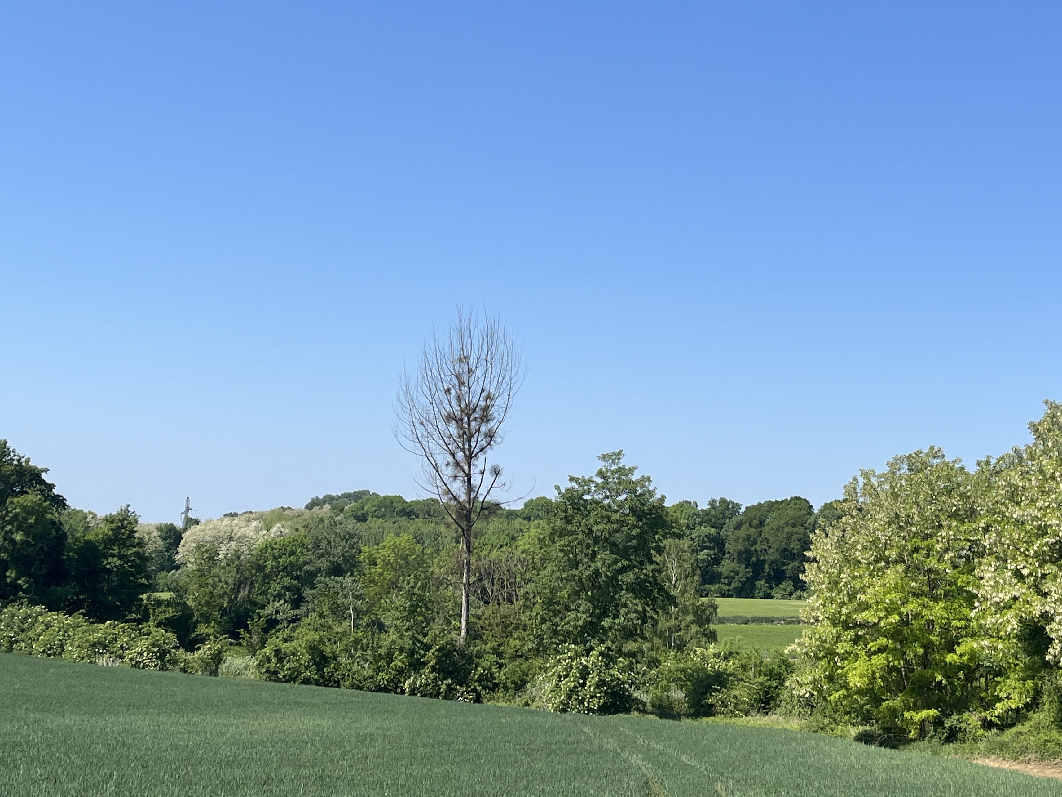 Achat immobilier Terrain   4873m2 à Crouy (02880) - Photo n°1