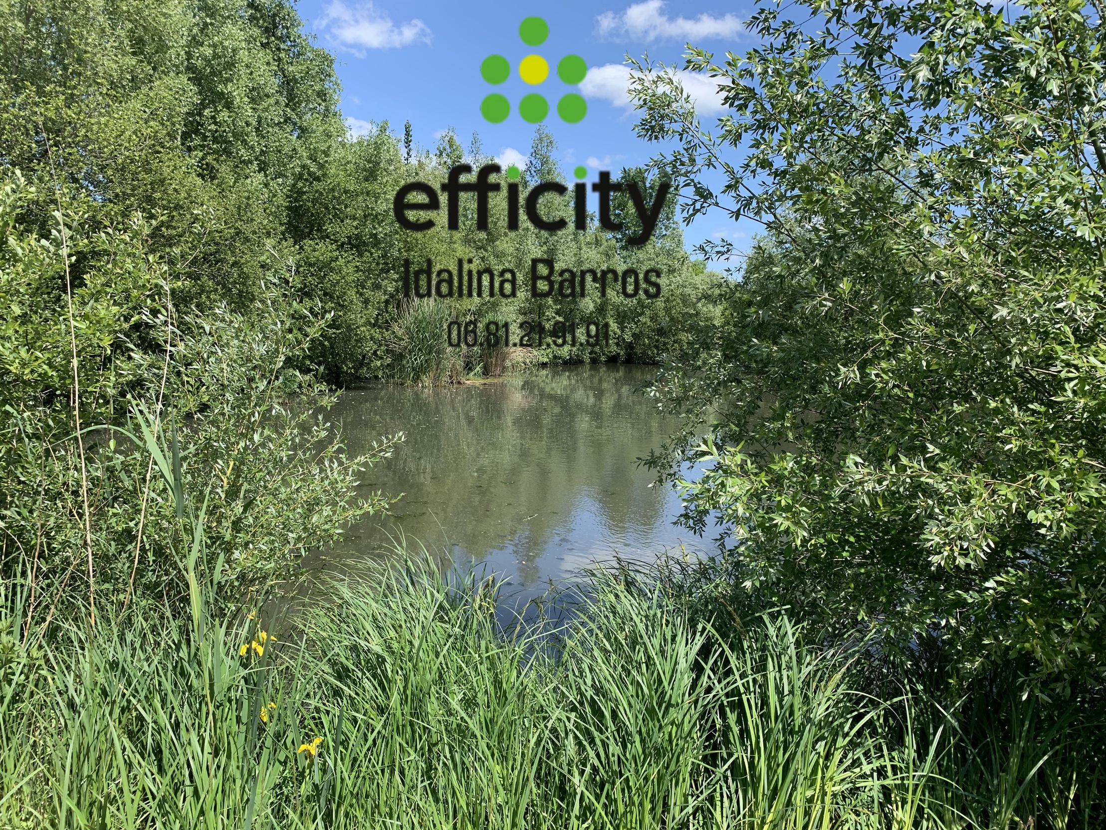 maison 6 pièces - 138m2 à Aigre (16140)